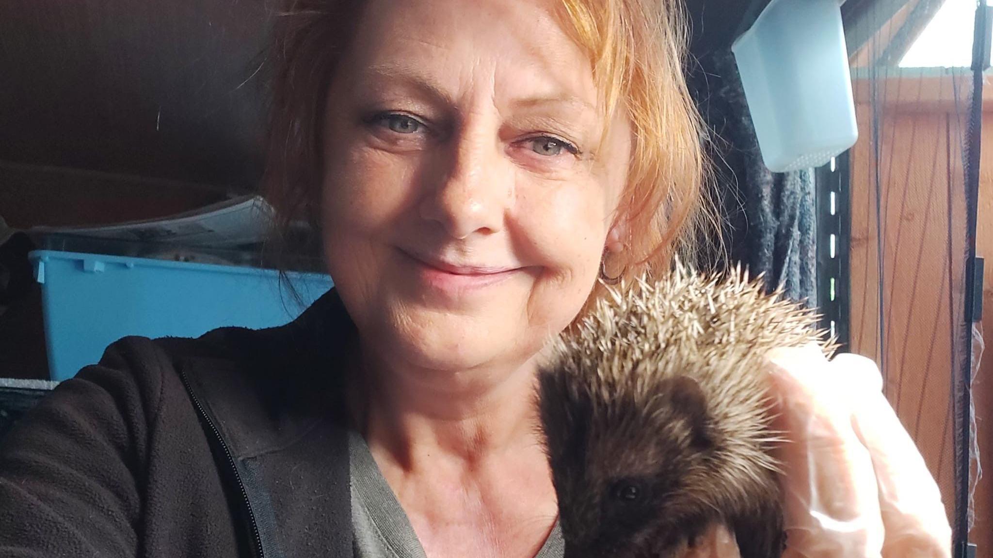 Karen Alexander-Clarke with a hoglet 