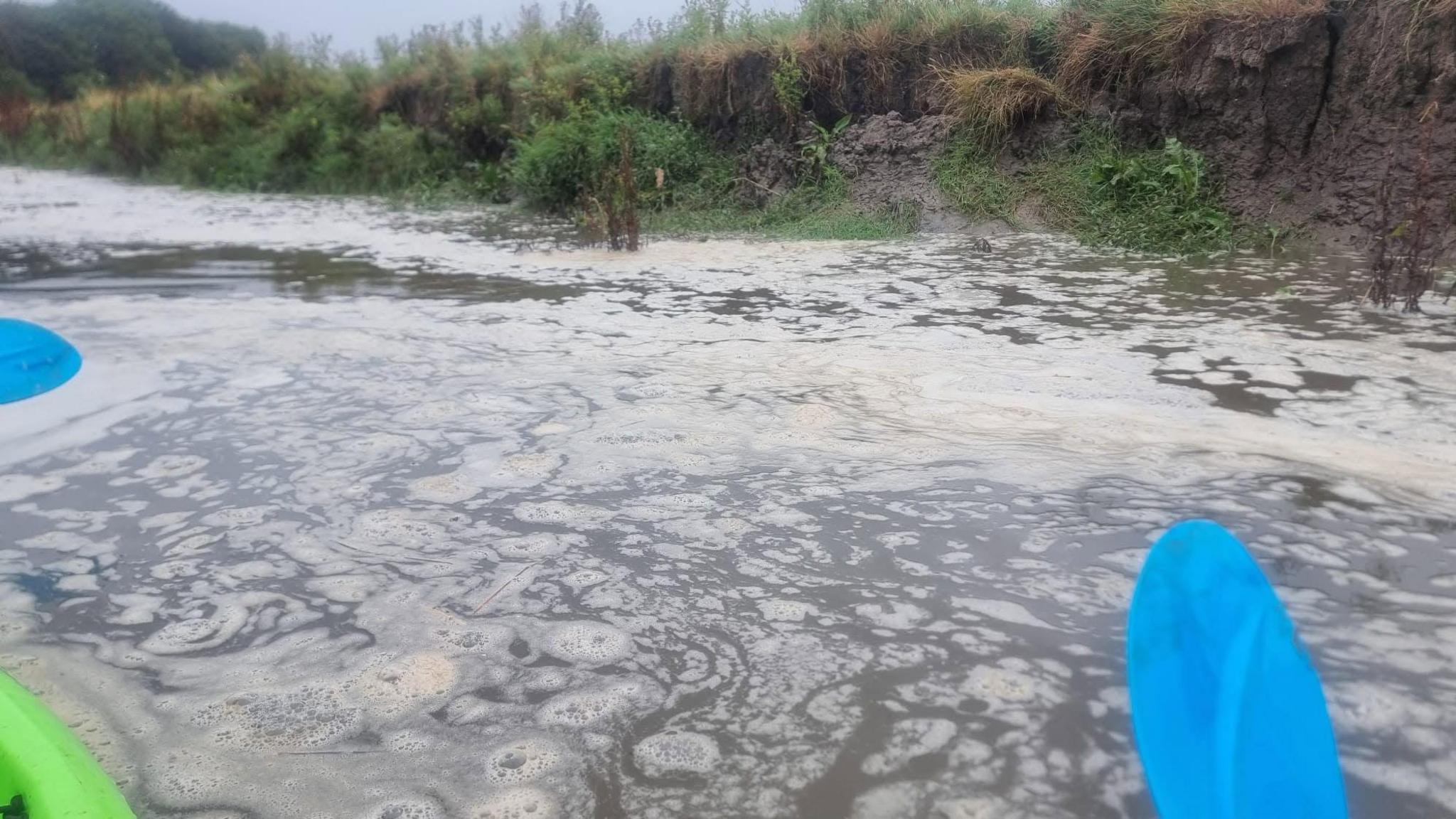 sylwedd melyn ar hyd yr afon Tywi.