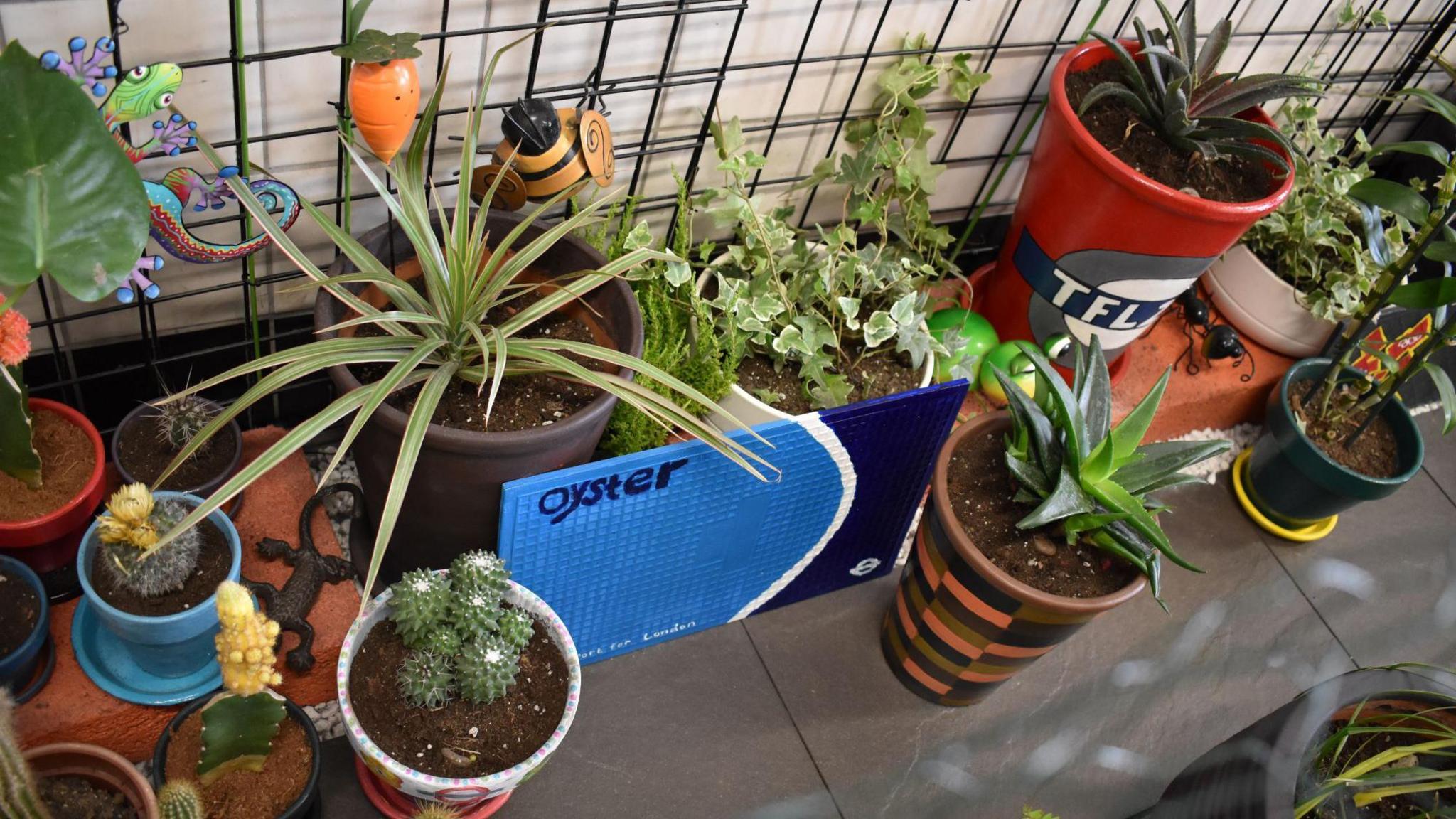 A collection of potted plants in colourful pots shown from above. These surround a large fake Oyster card.