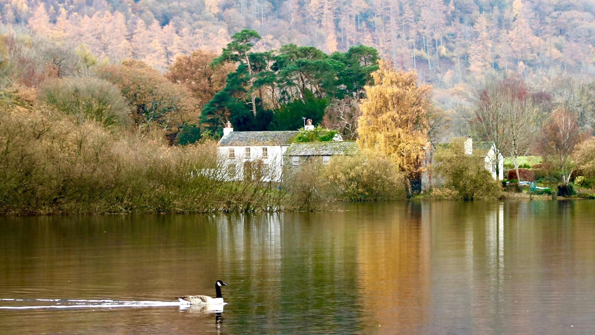 Trees with leaves in shades of reds, brown and green  reflect off Derwentwater. The fells in the background look black. 