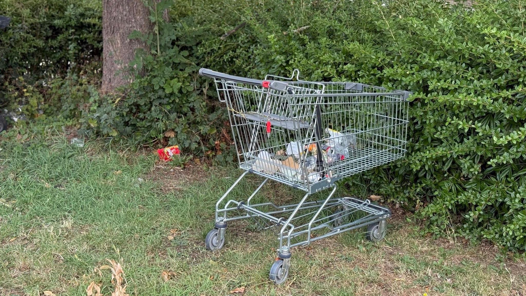 A metal trolley left on the grass near houses with rubbish inside them