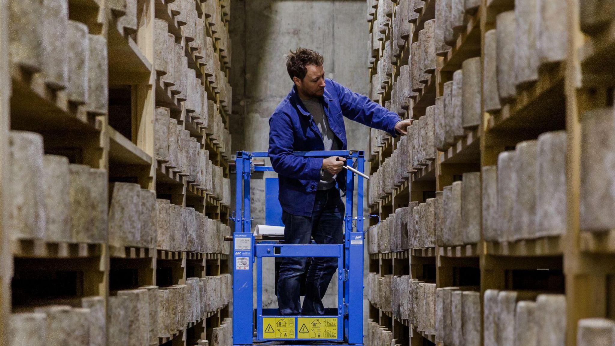 A man in blue overalls stands on a a raised platform among shelves stack with large wheels of cheddar cheese.