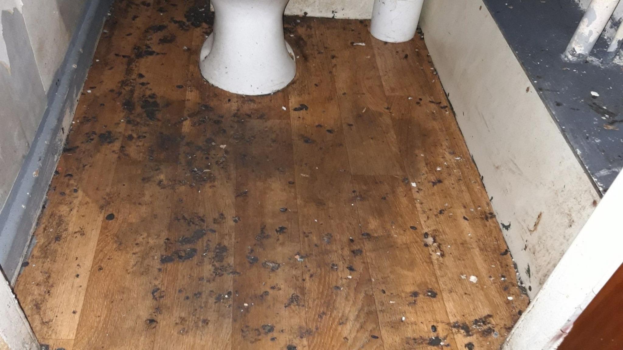 Rat droppings cover a lino bathroom floor. It looks like they have been trodden into the floor and spread around, rather than ever being cleaned up.