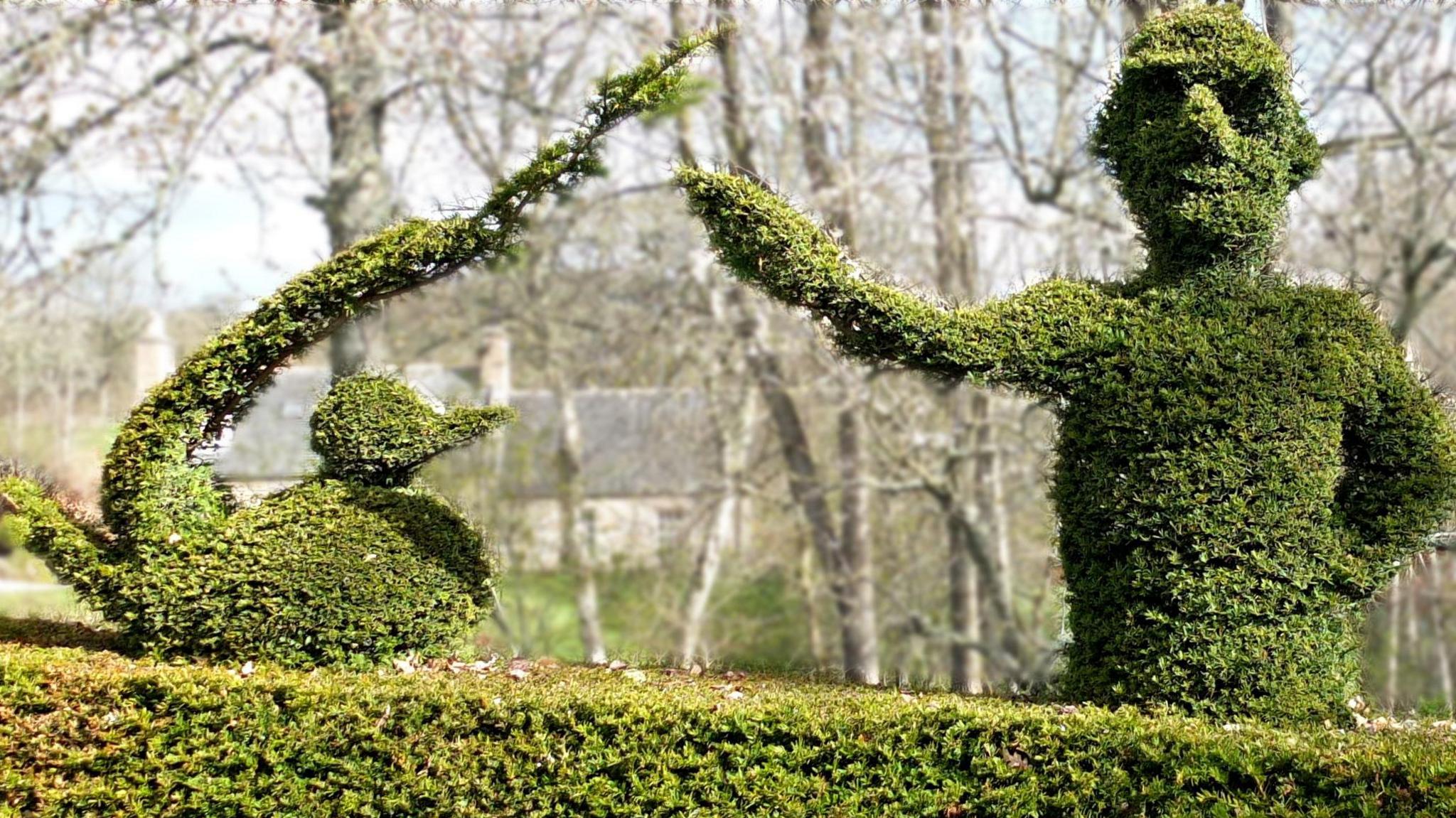 Hedge design from David Hawson, showing a self portrait of himself