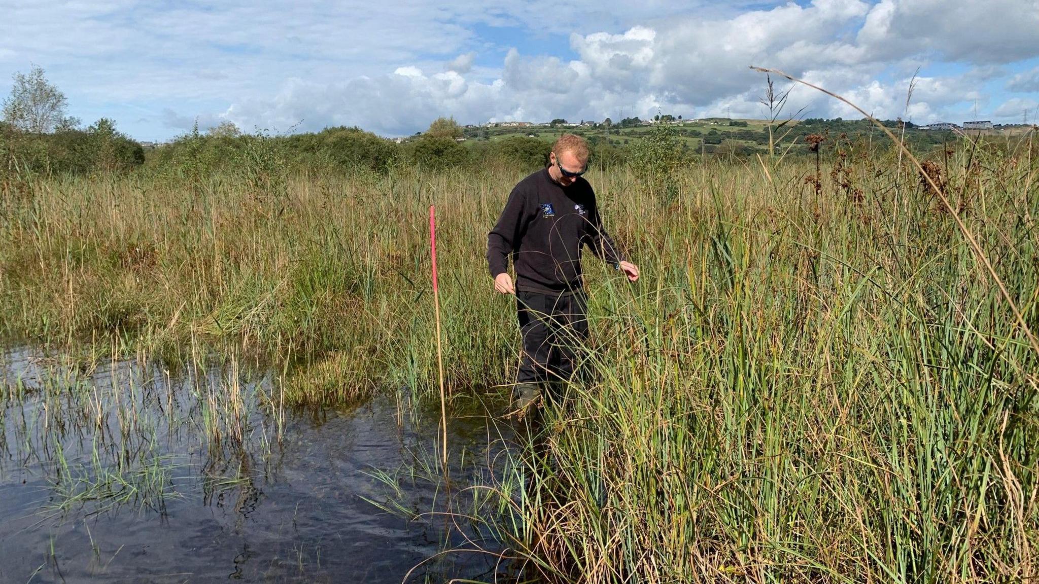 A person dressed in black walking across the bog. There are tall reeds and water to the left.