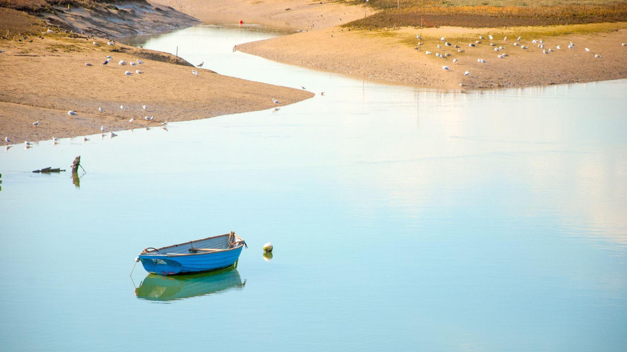 A boat floats on clear water as birds wonder the sandy banks behind. 