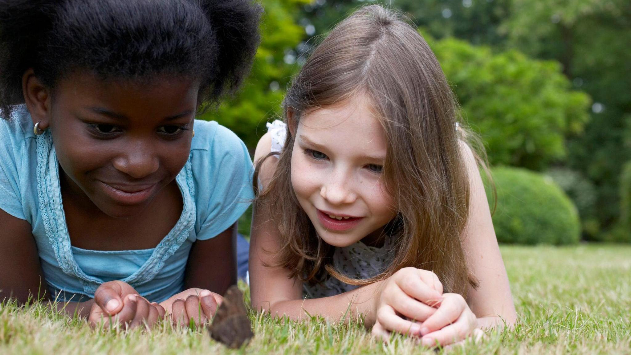 Two children looking at a butterfly