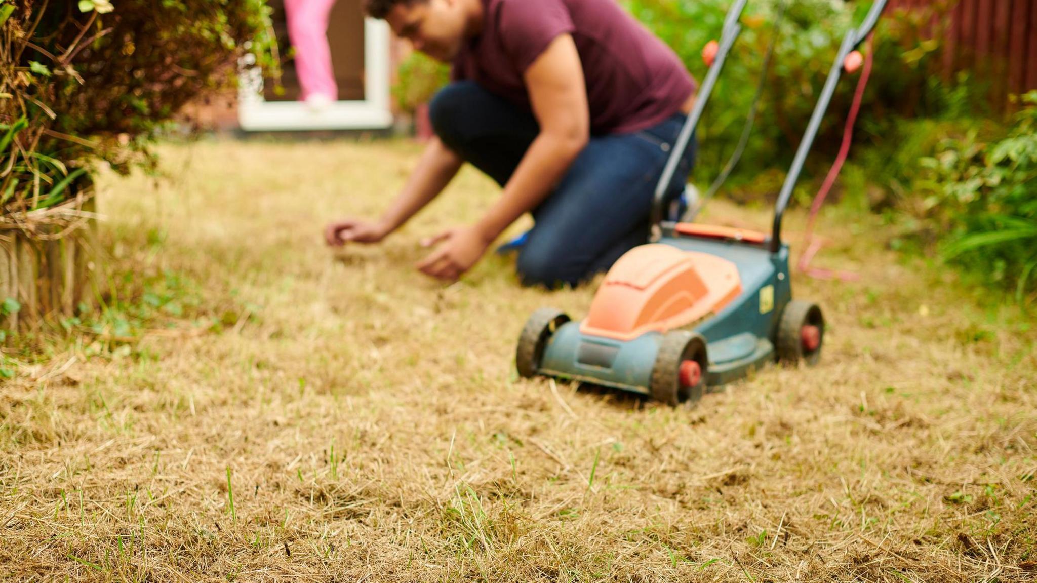 A man (blurred) wearing a claret T-shirt and blue jeans kneels next to a green and orange lawnmower. He is looking at dry grass in the garden.