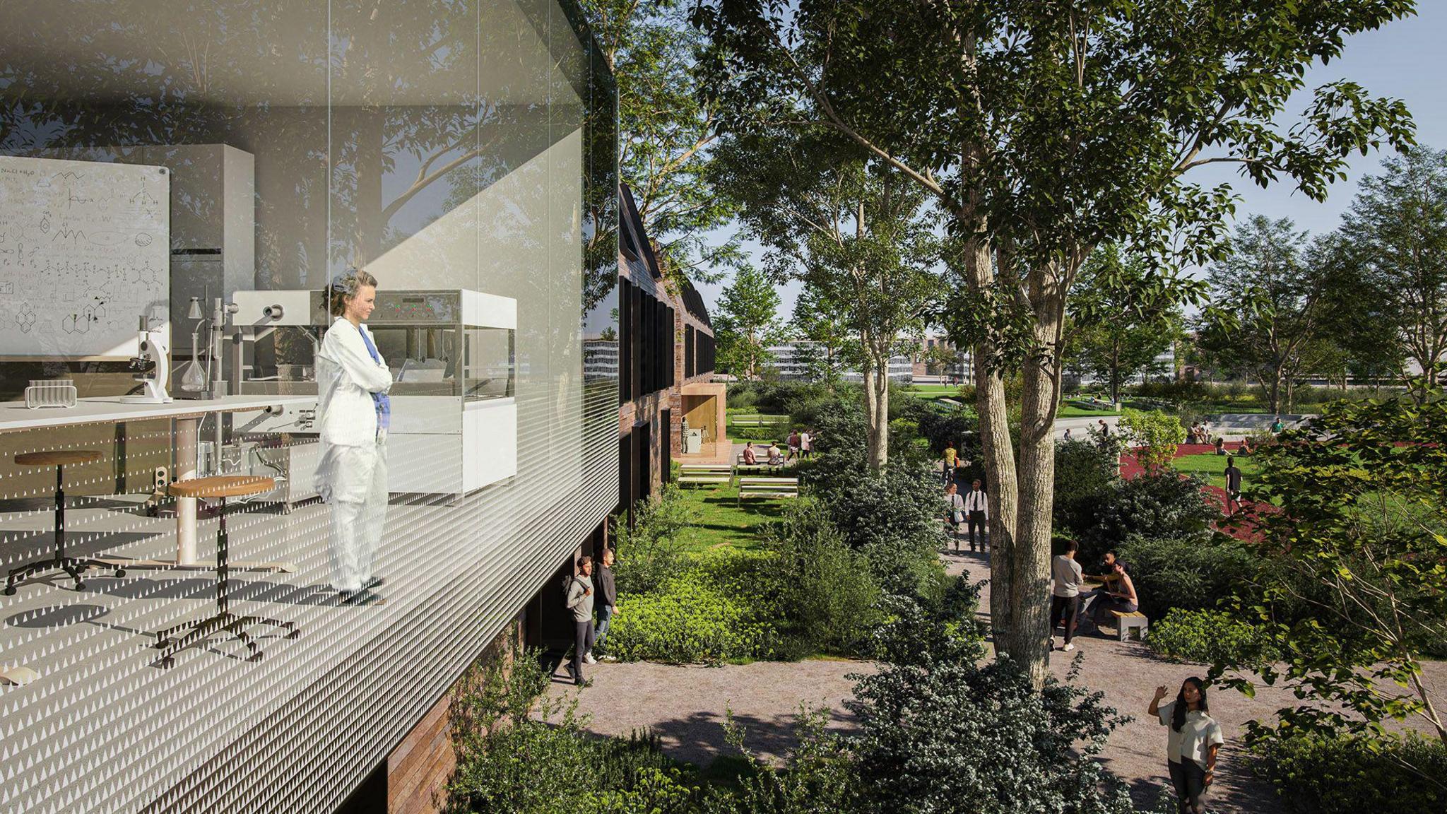 A woman is looking outside the window of a lab at a green space. There are people coming out of the building or sitting around. A sunny day is pictured.