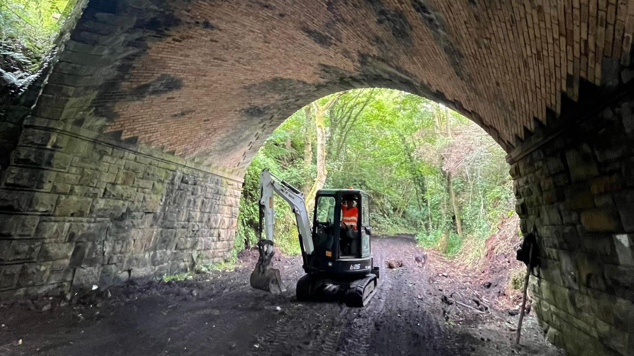 A digger under the bridge 