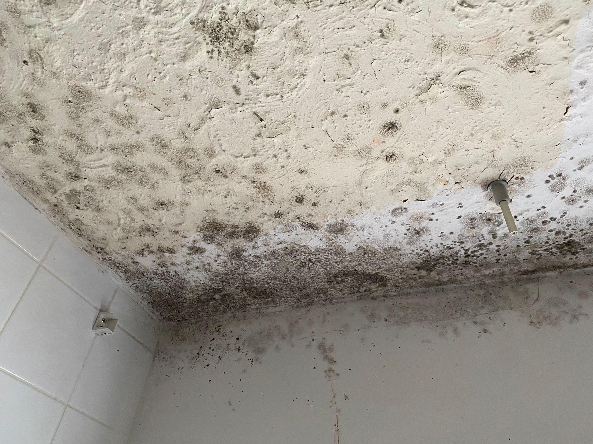 Mouldy bathroom ceiling