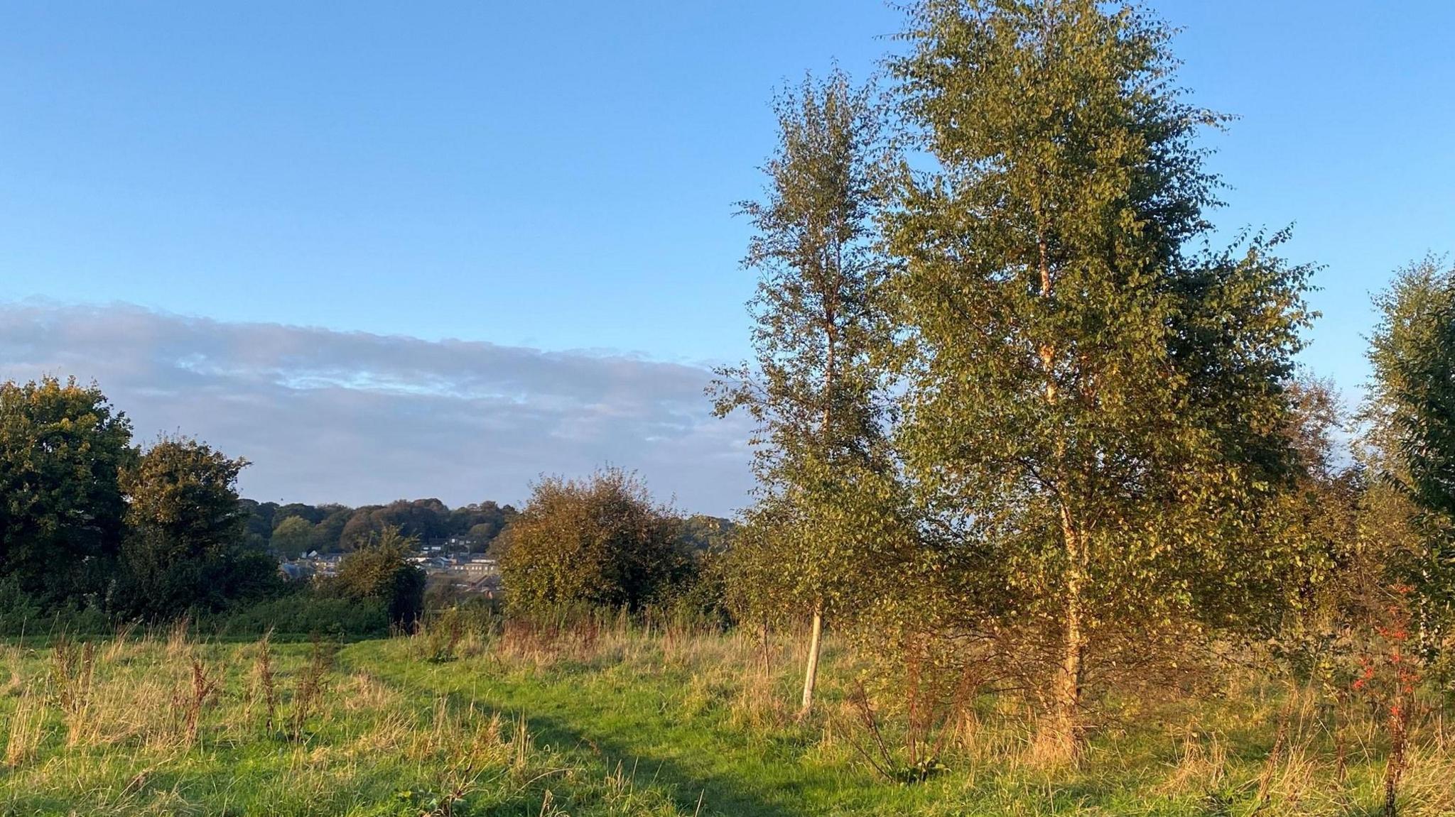 A field with trees at the side, and the town glimpsed in the background.