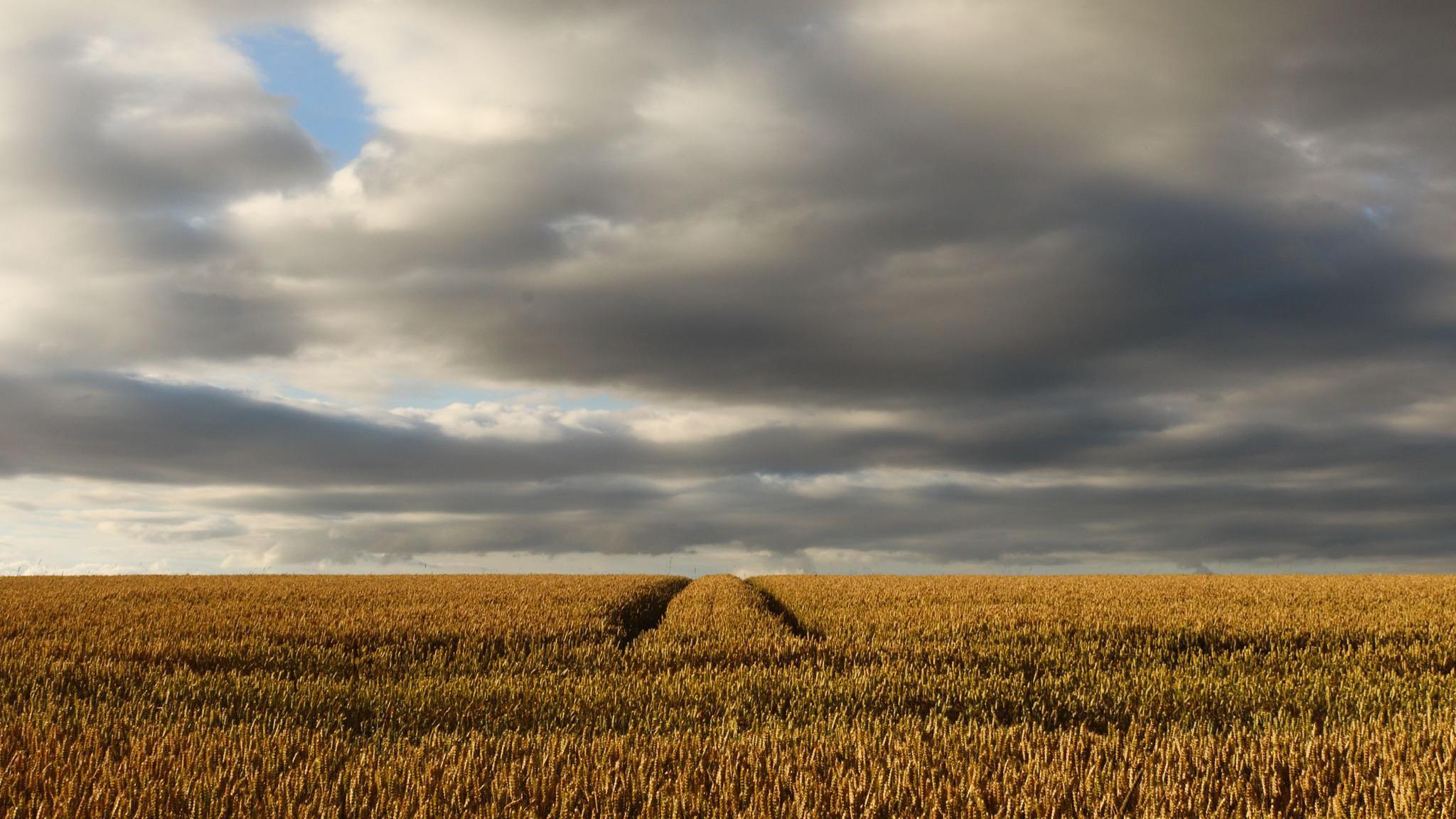 A field near Threipmuir Reservoir