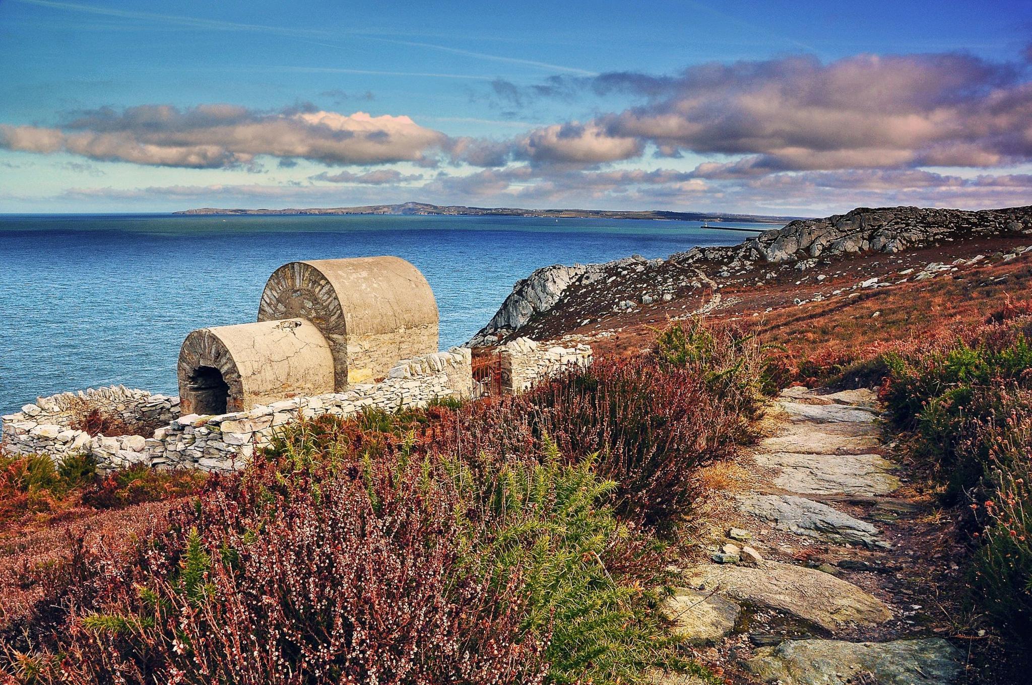 Mynydd Tŵr