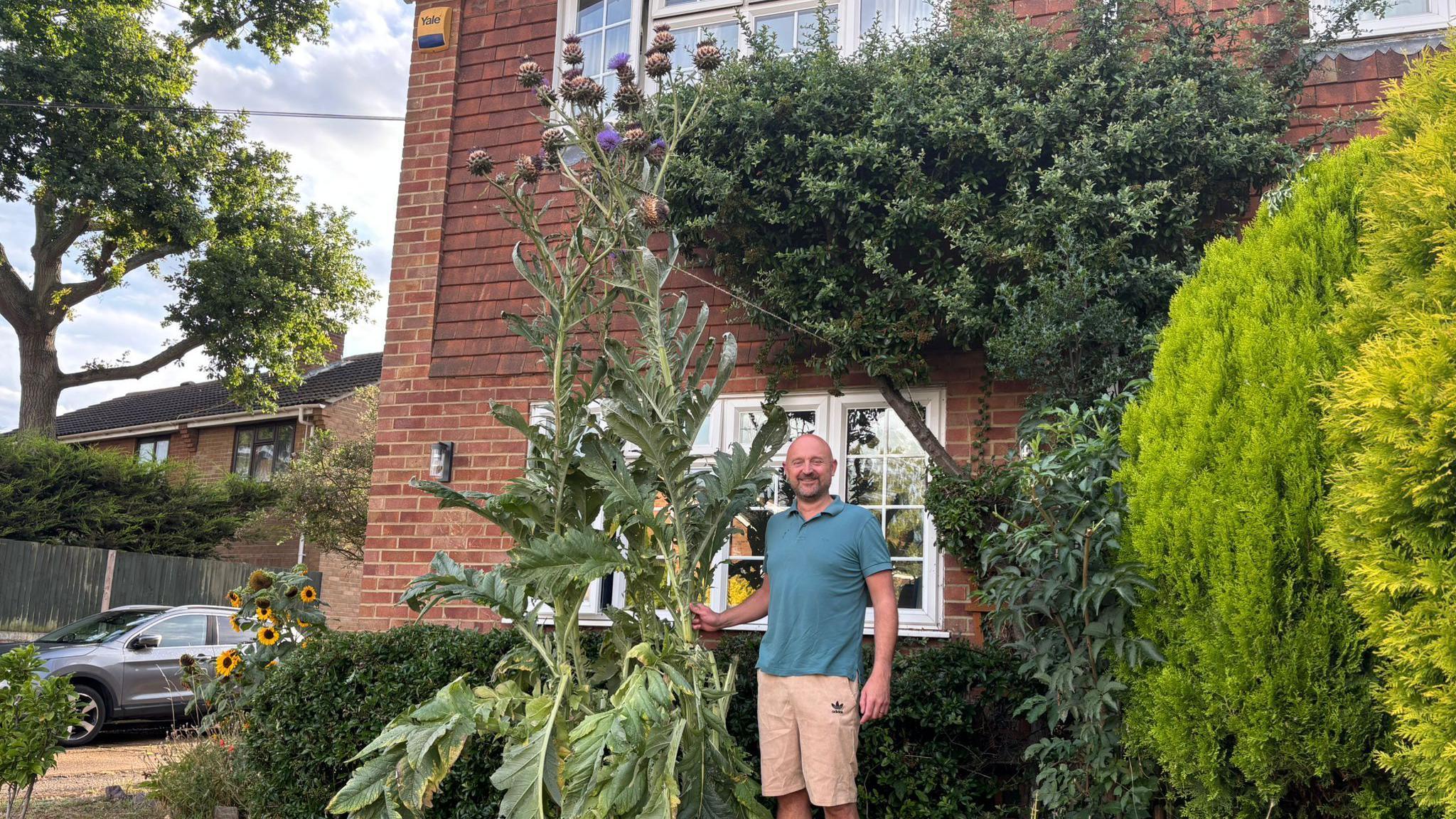 A man standing next to a plant which is double his height, it is the height of his upstairs window