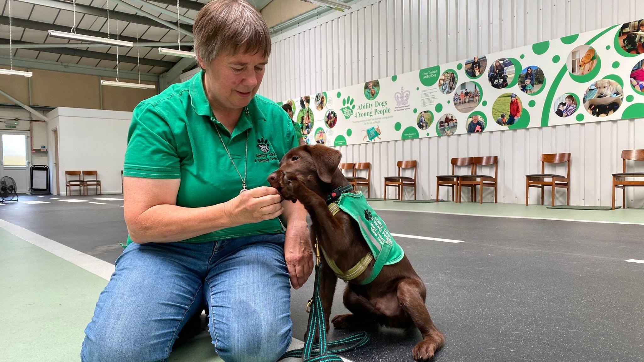 Carol Court in a green t-shirt on her knees playing with a dog in a green Ability Dogs 4 Young People harness.