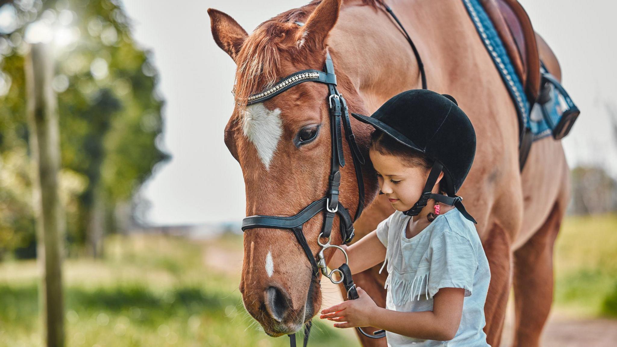 Young girl holding the reins of a brown horse