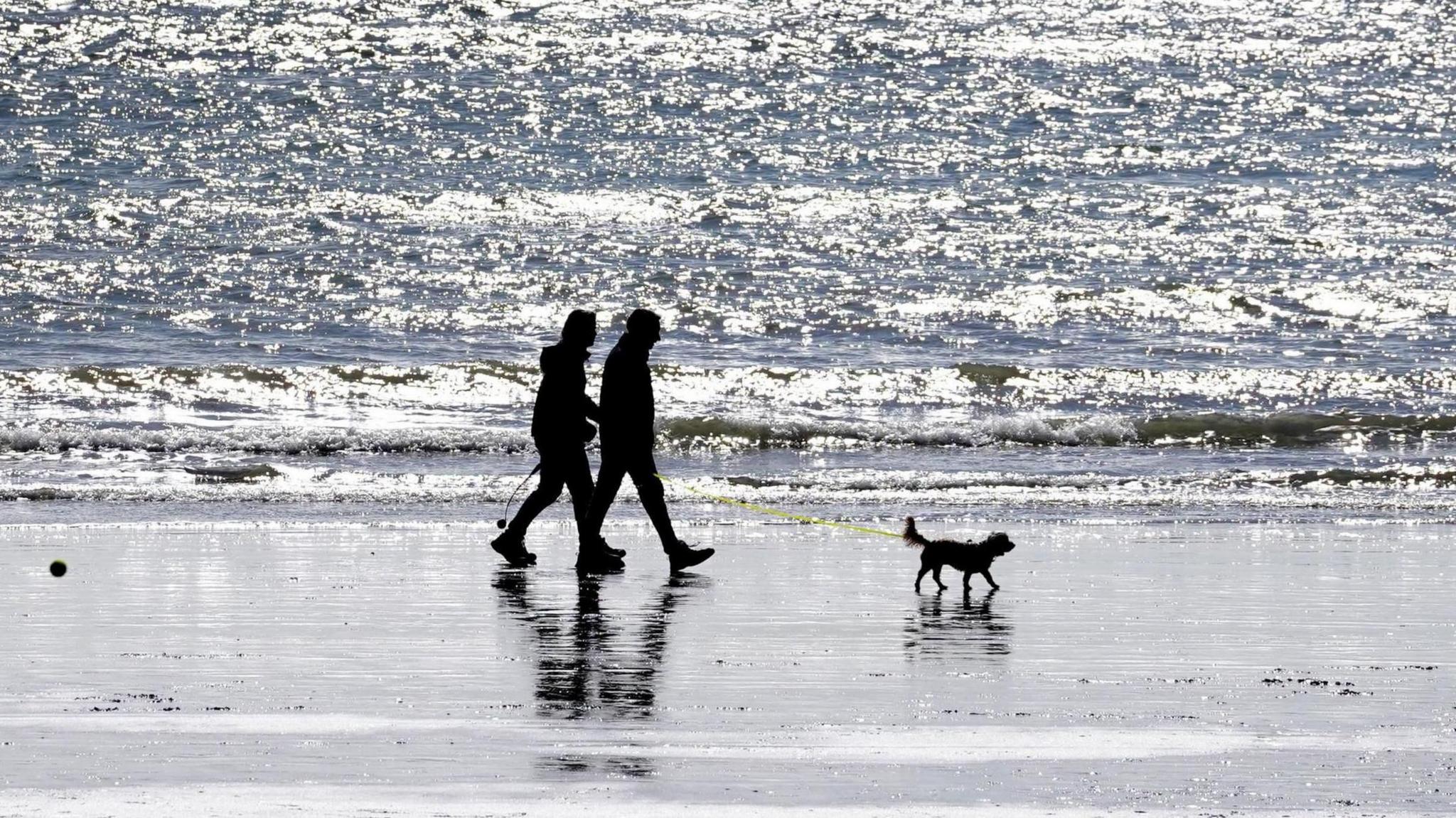 Two people walking a dog on a beach.