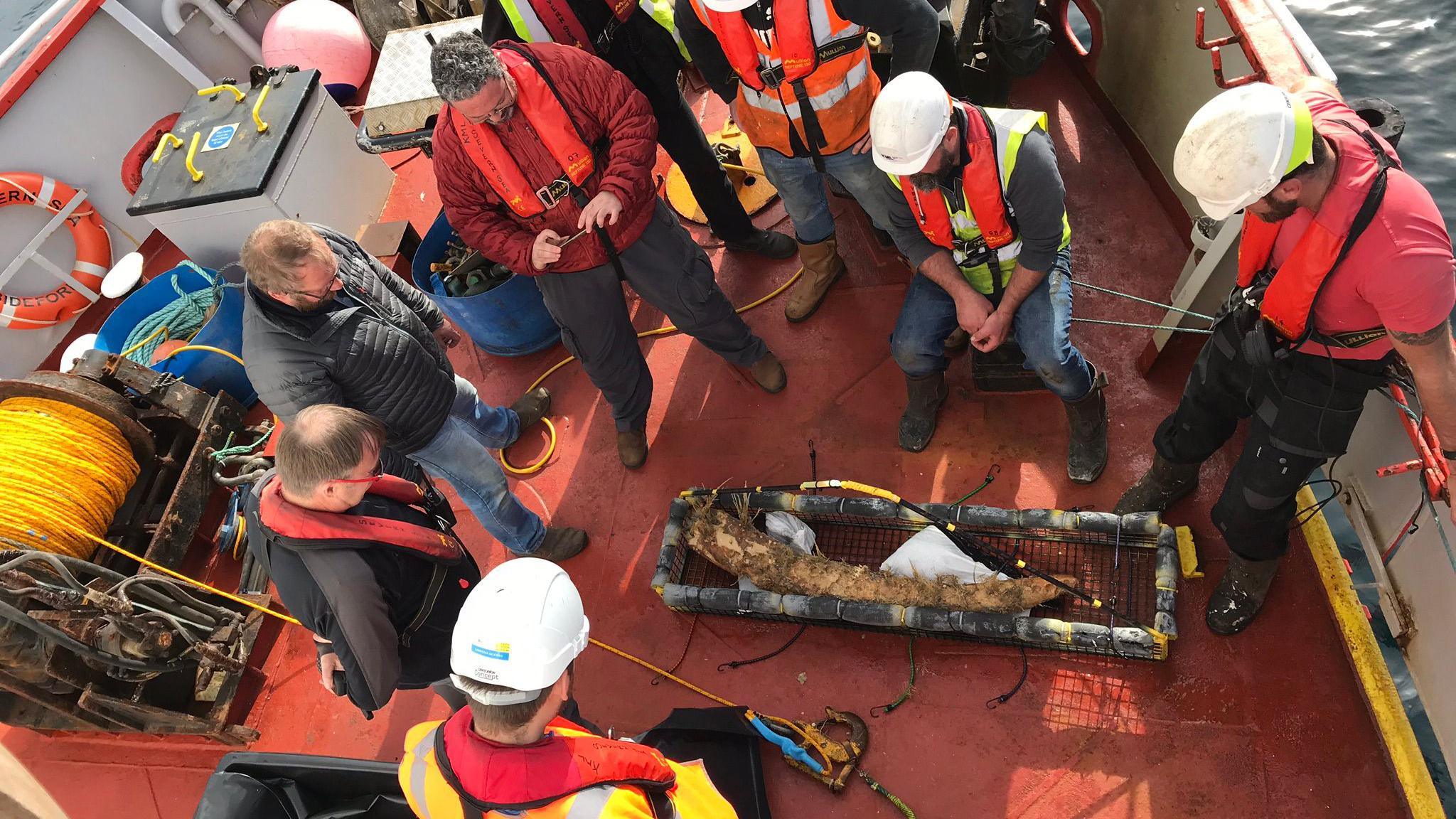 Crew look at elephant tusk in a basket on the ship deck