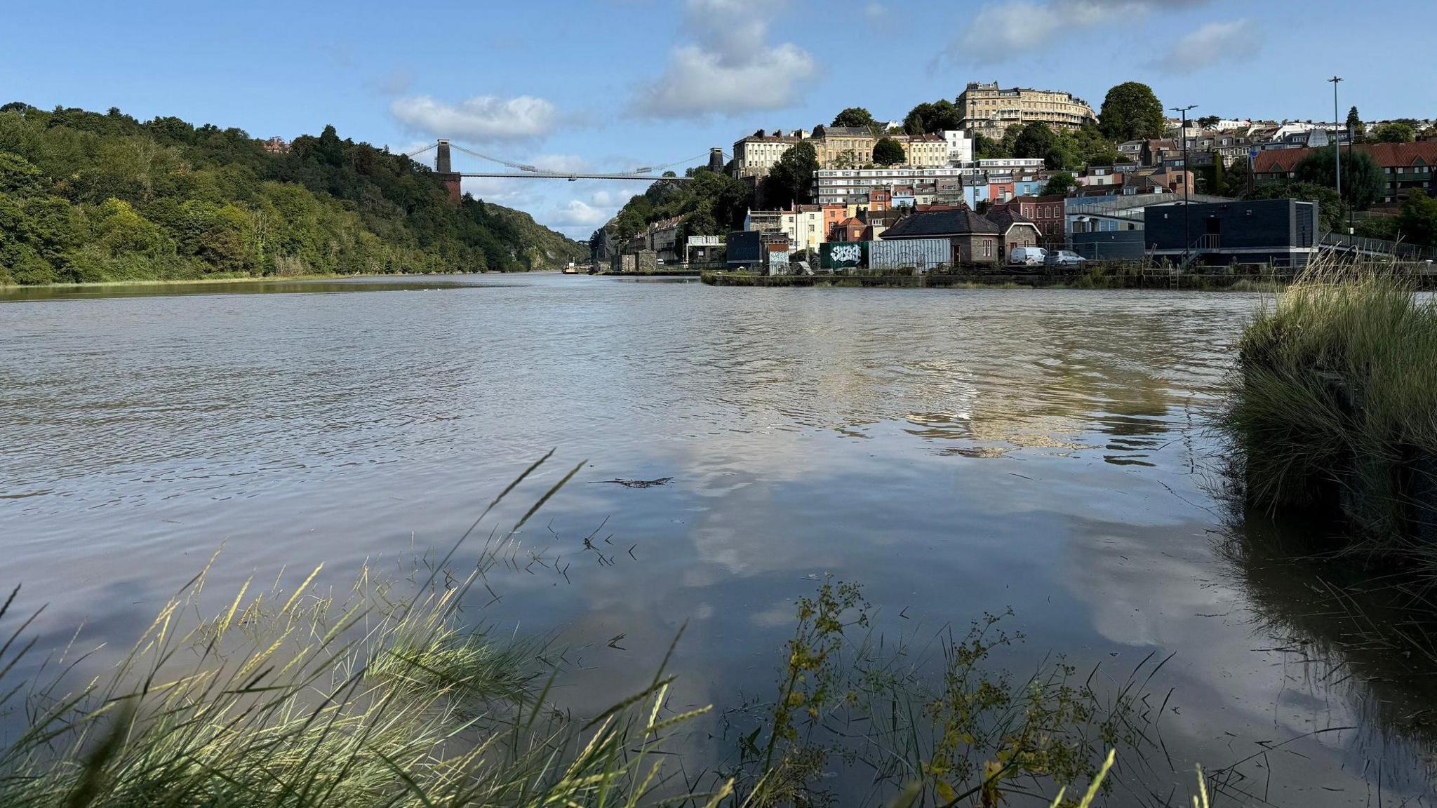 The Clifton Suspension Bridge is in the distance, with the houses of Clifton also visible. In the foreground the River Avon is at high tide with the water lapping at the edge of the reeds