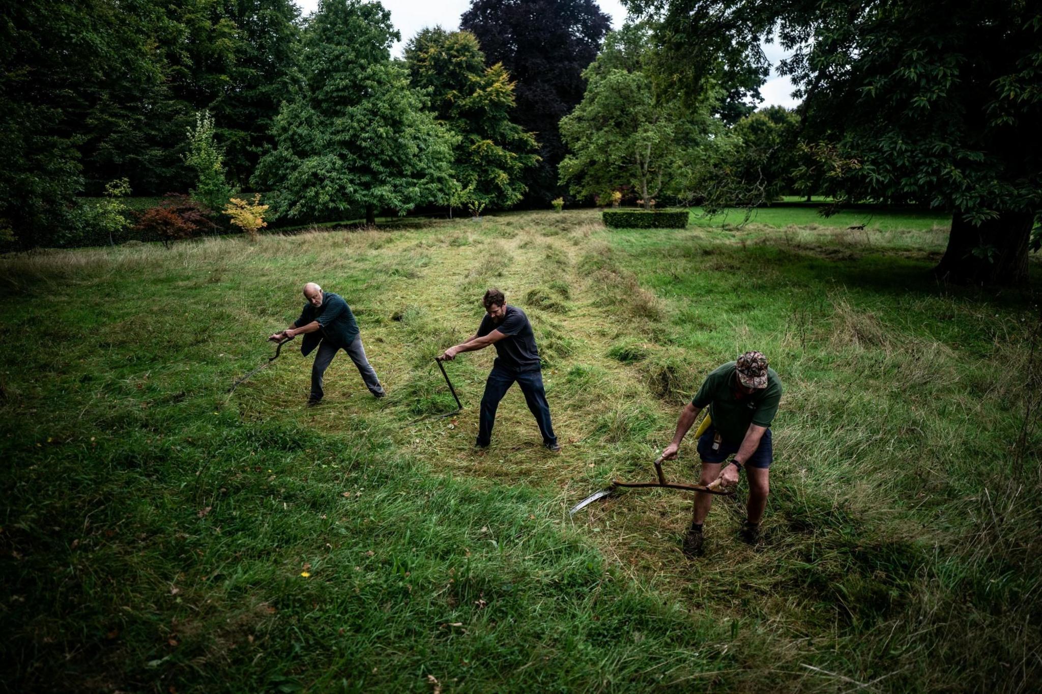 Mowers and members of the Scythe Association of Britain and Ireland, use scythes to cut through meadowland at Highgrove, in Tetbury, Gloucestershire