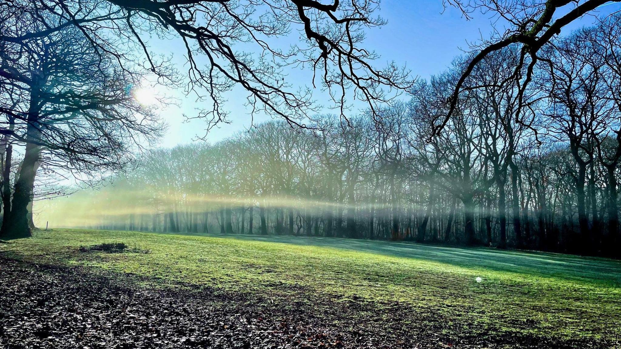 A misty wooded area with some open green space in the centre