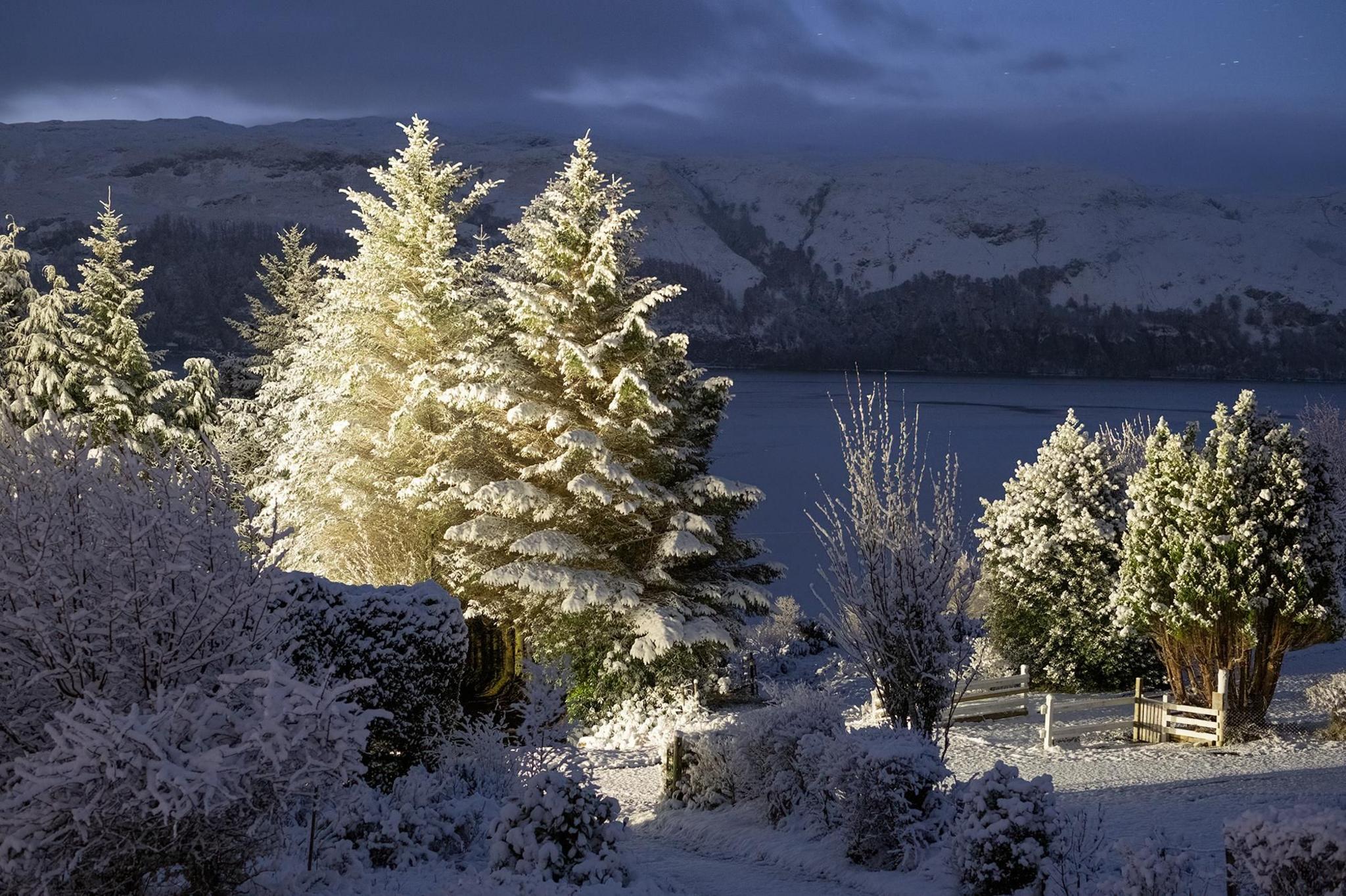 Snow in the Highlands. A landscape where trees are white with snow and there's a few inches of snow on the ground. 