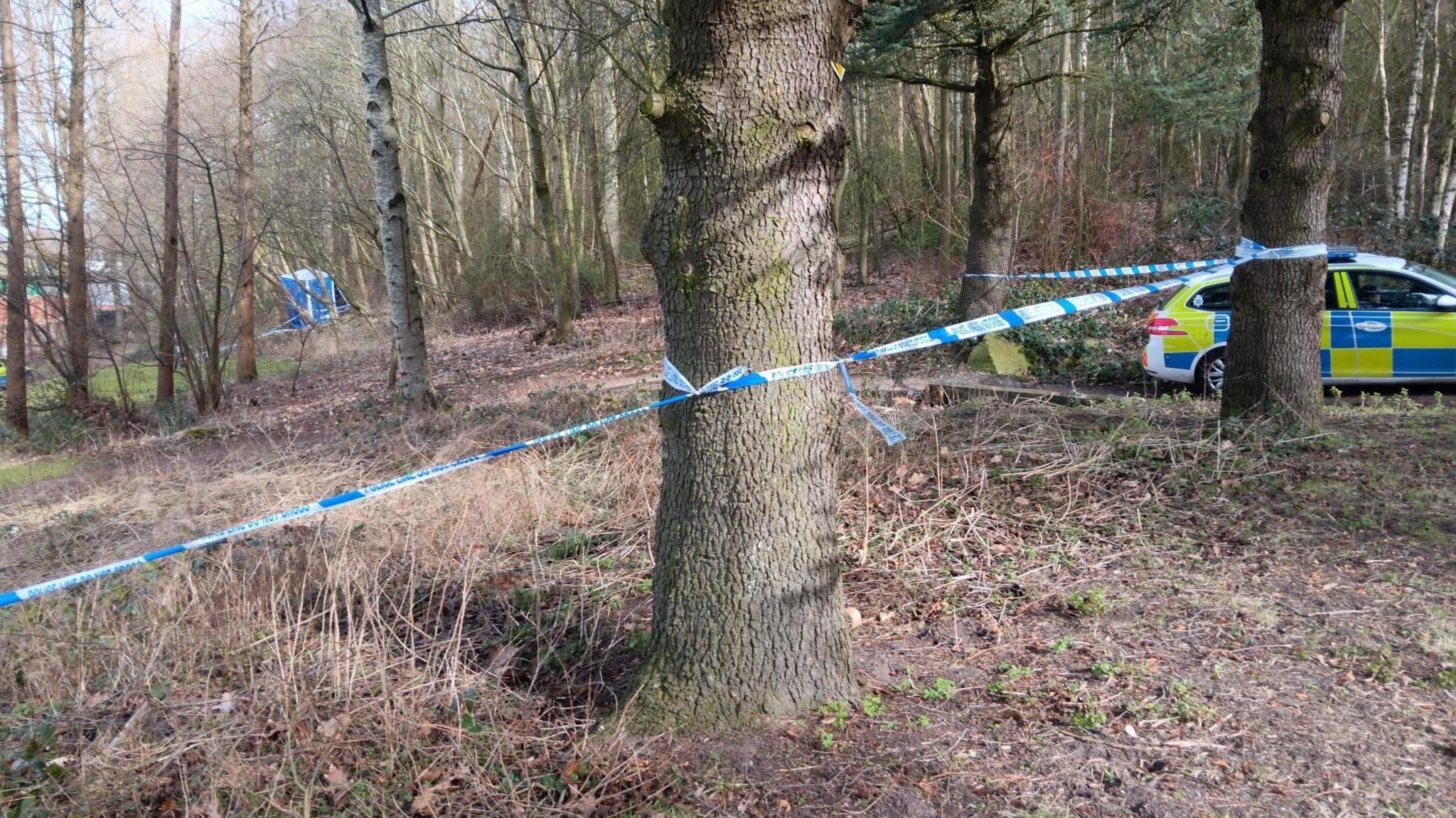 An area of woodland with a blue and white police tape across several trees. A police car is partly obscured behind a tree and there is a blue tent in the left of the picture. 