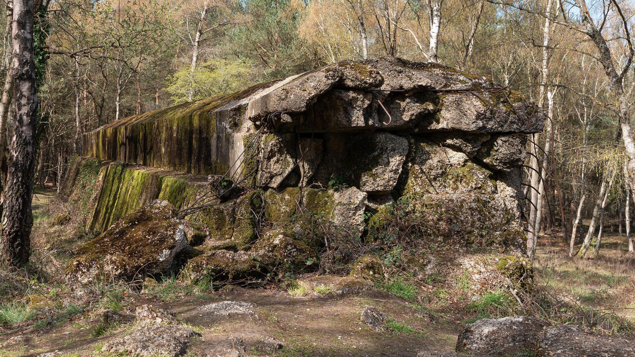 A close up image of a large concrete wall in woodland. We can see the jagged end of the wall where it was blown up