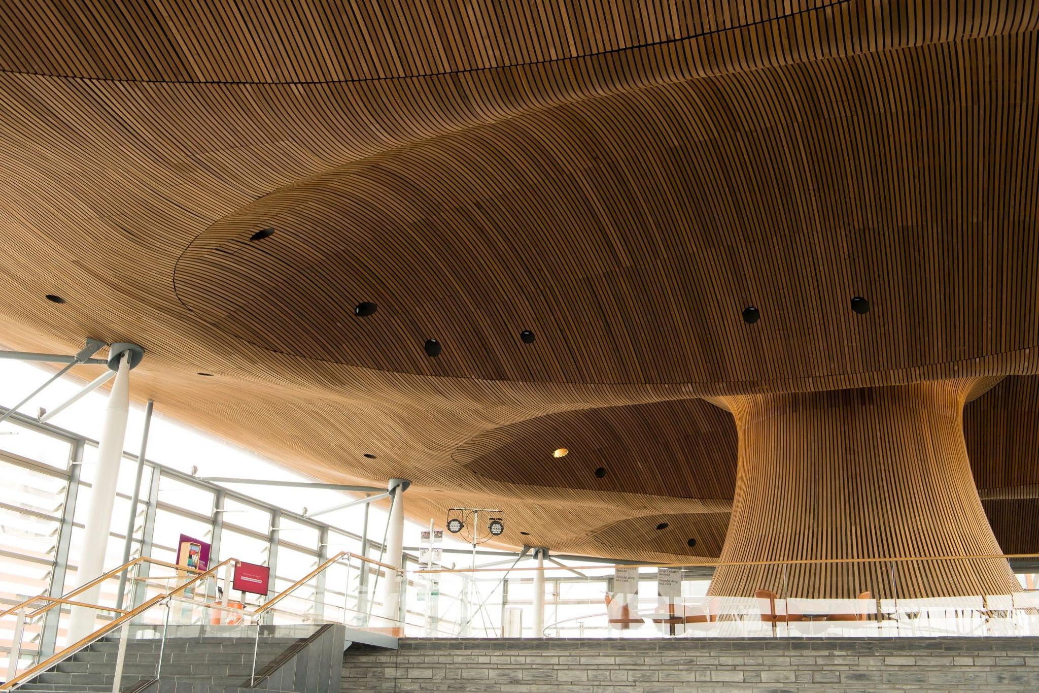 Senedd