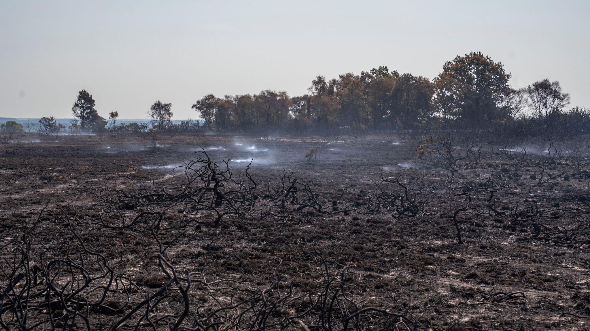 Charred heath with smoke coming from patches of ground at Holt Heath, Dorset.