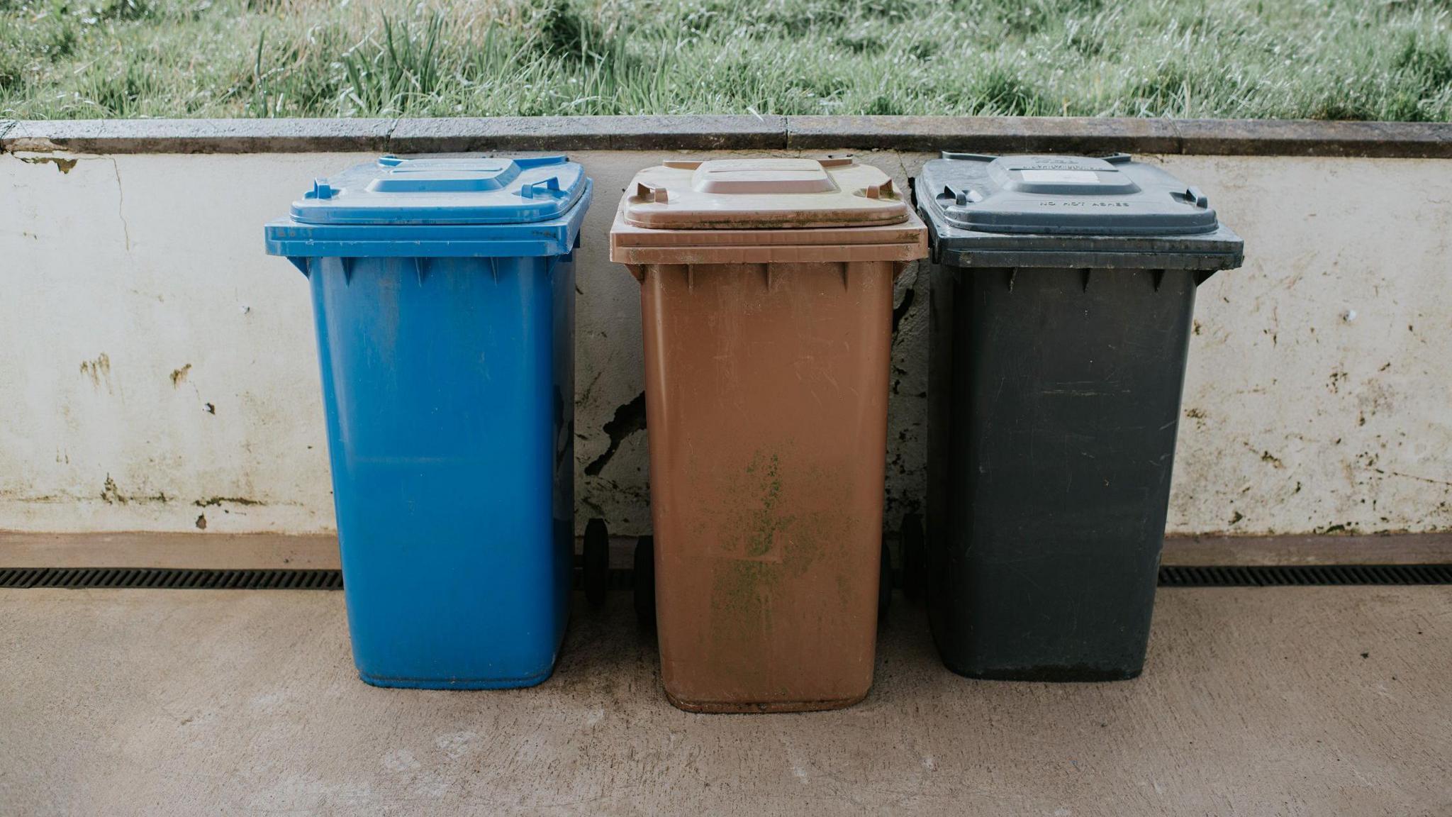 Three bins: a blue, brown and black one in a garden.