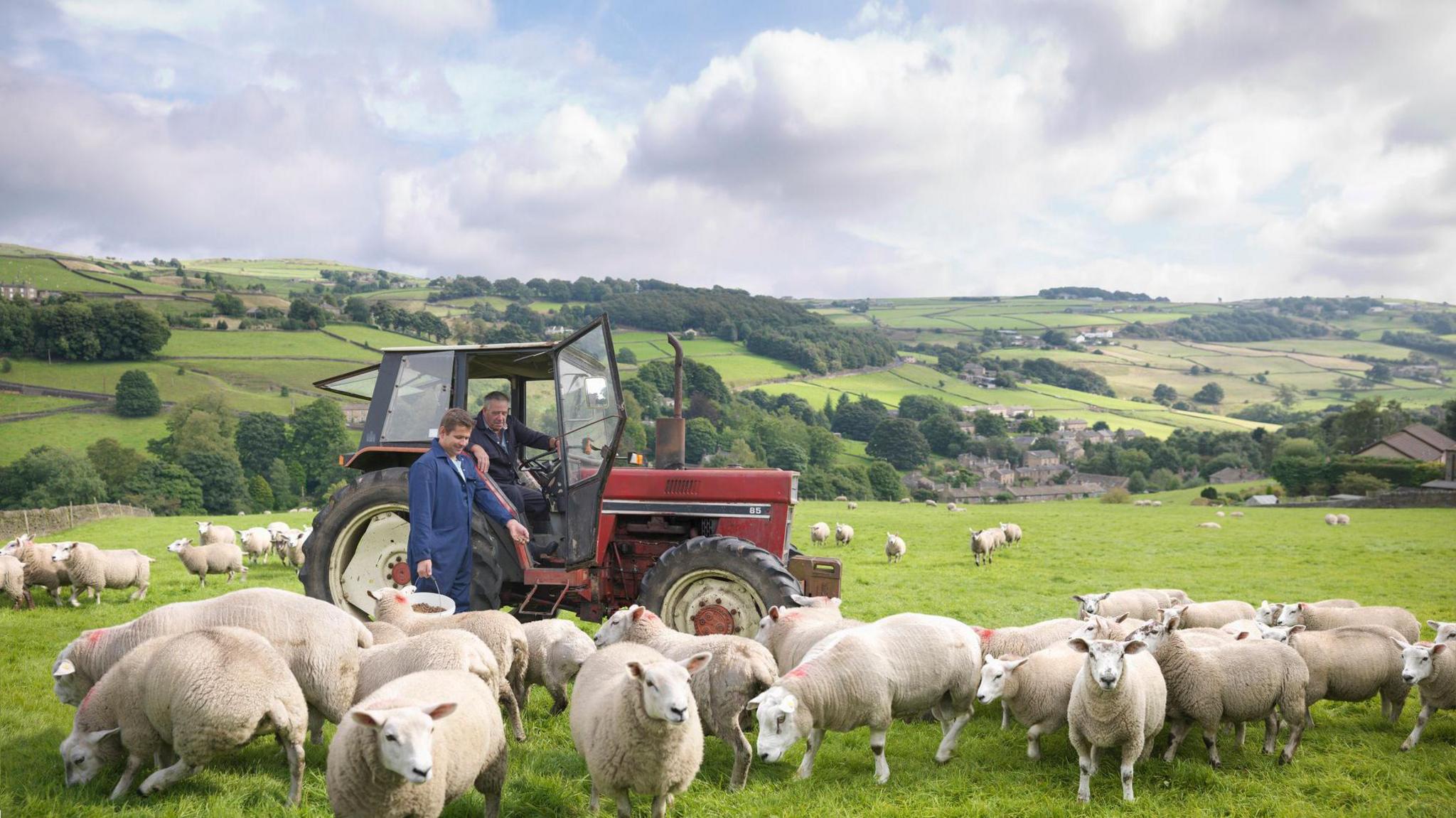 Farmer in tractor with son watching sheep in field