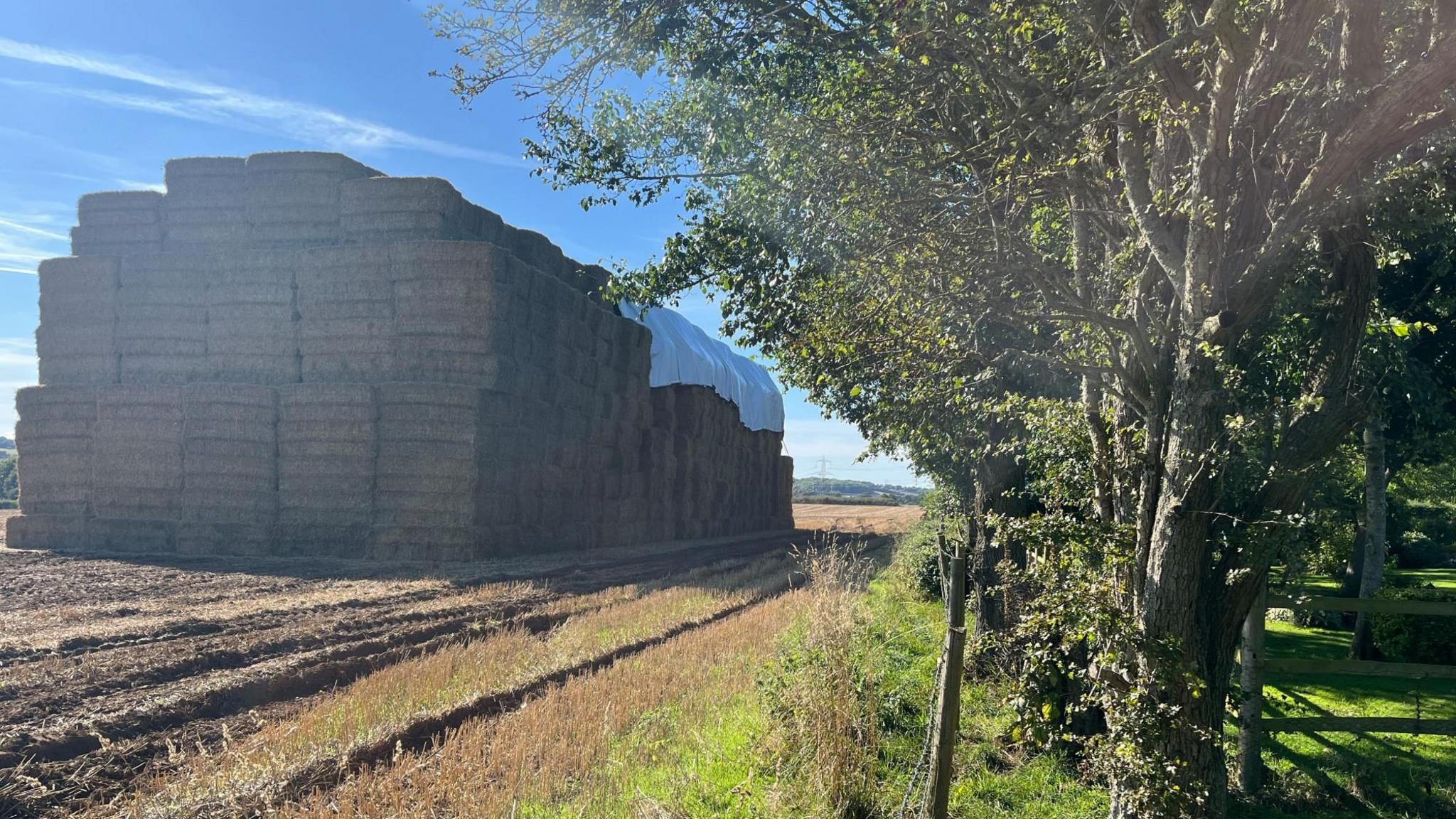 A view of the giant haystack in a field with trees and grass alongside.