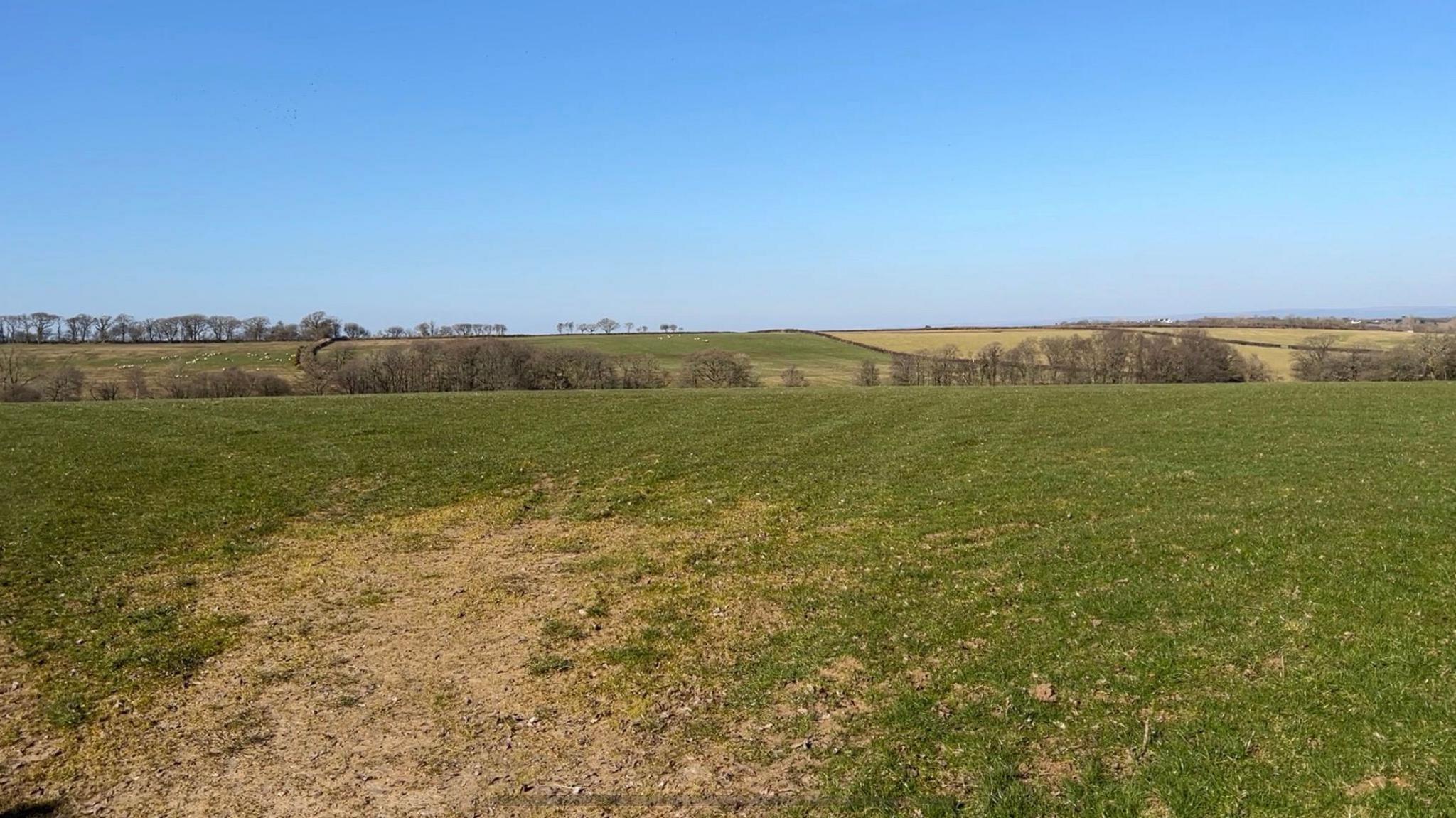 Farmland at Ebberley Hill near Torrington