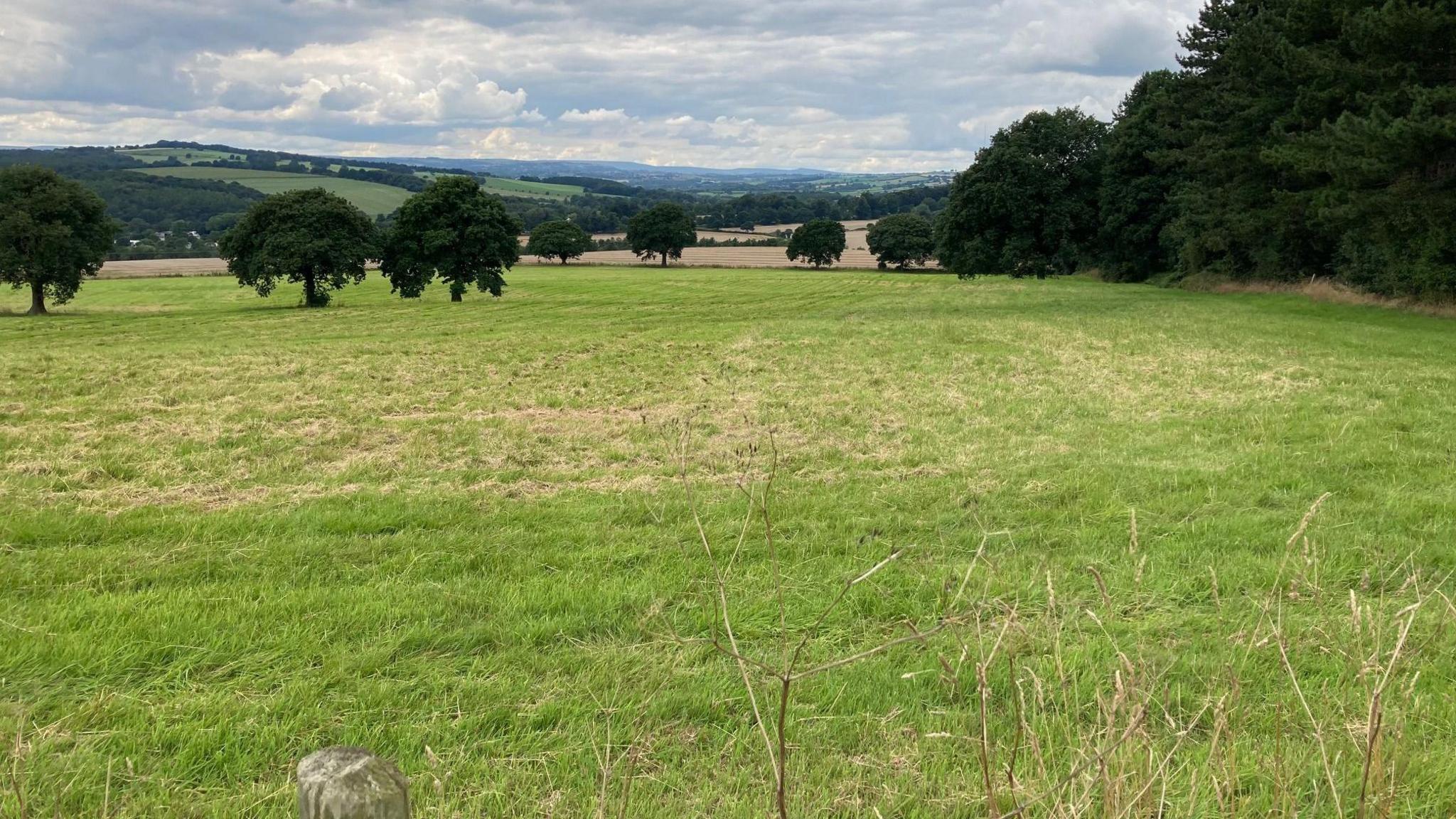 A large countryside field, peppered with fully-leafed green trees.