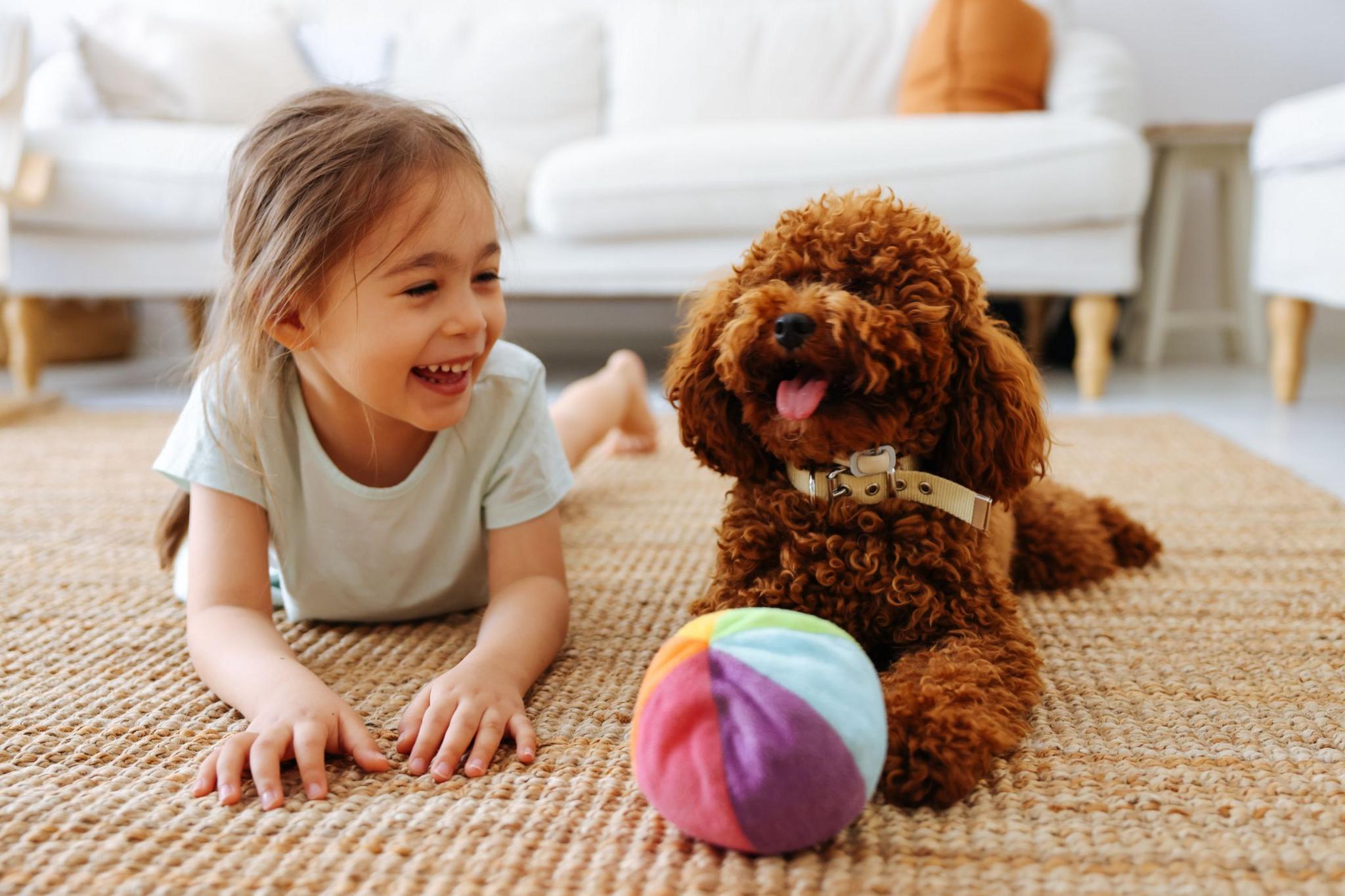 dog and young girl sat together