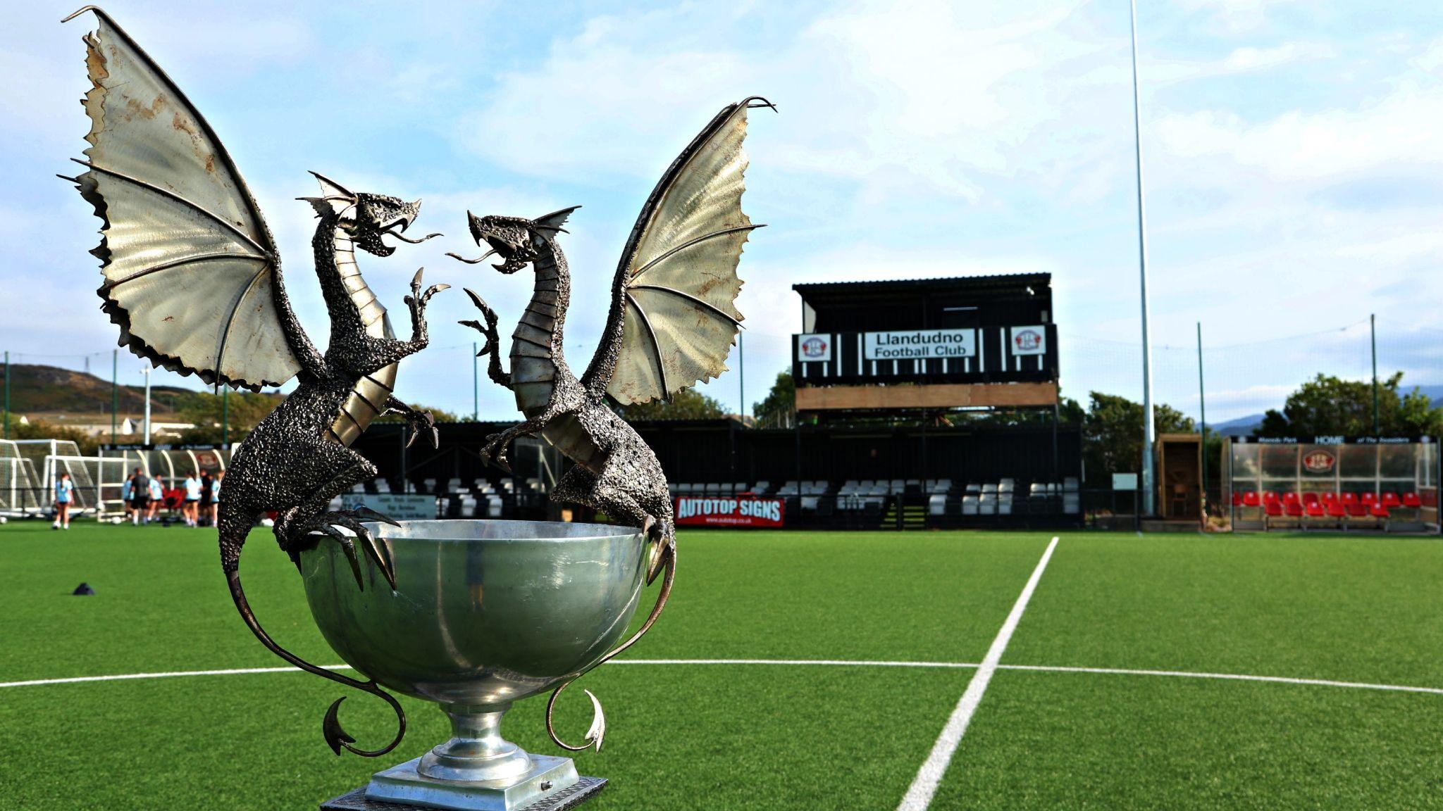 Cymru Premier trophy on the pitch at Llandudno FC