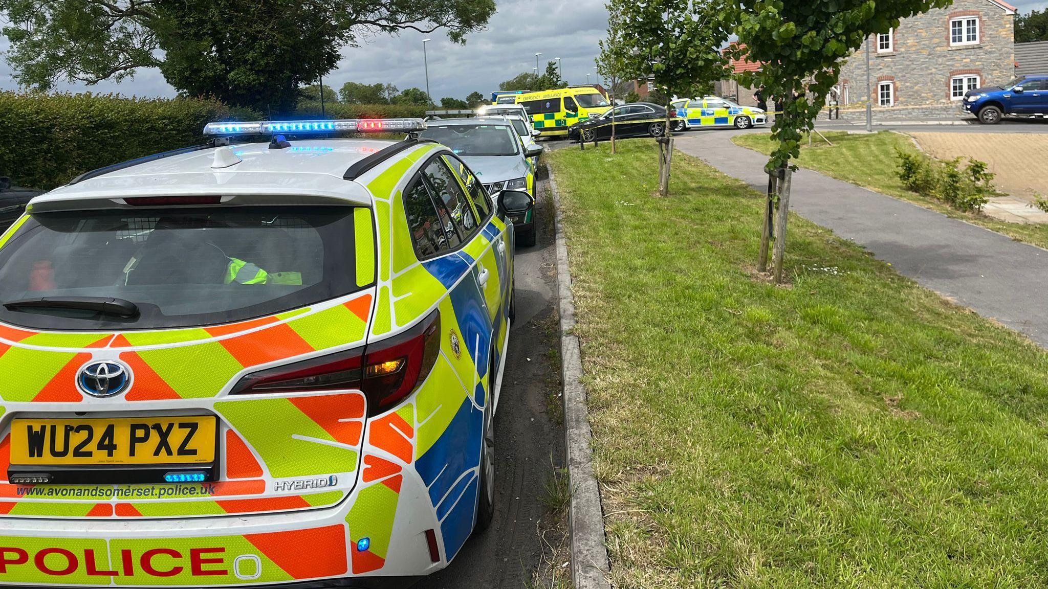 Police cars parked on a street