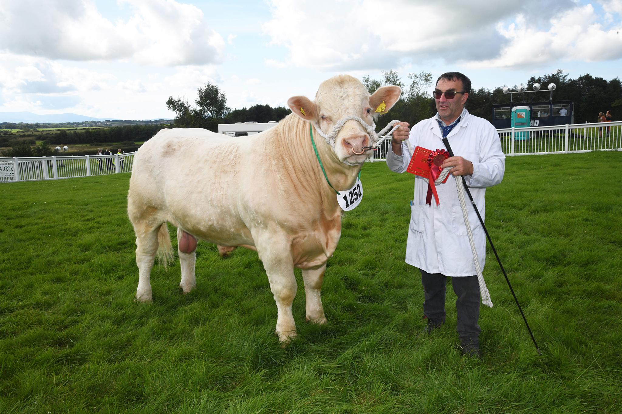 Huw Jones o Bow Street, Aberystwyth a phencampwr gwartheg Charolais y sioe