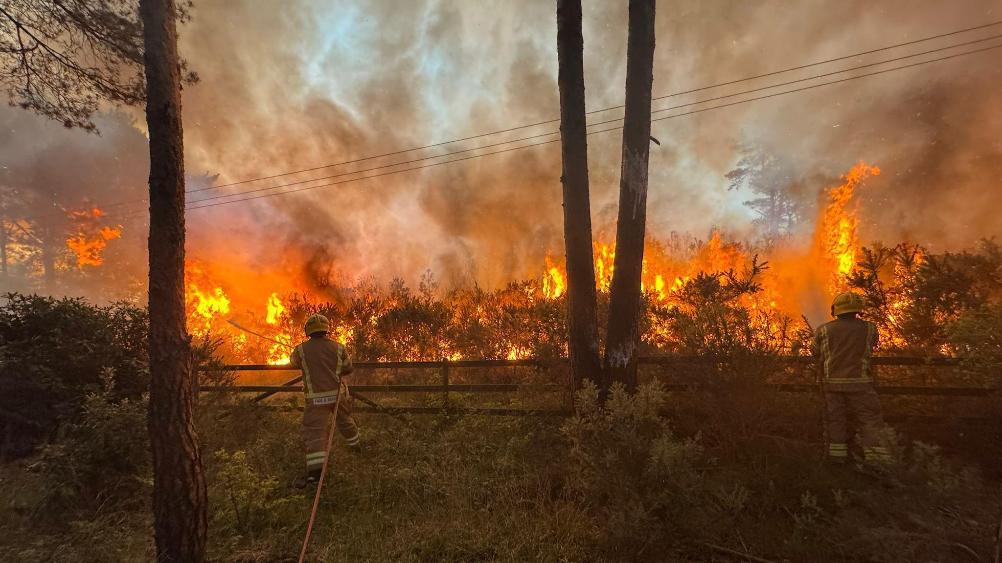 Two firefighters standing near a wooden fence with fire and smoke filling the trees and heathland in front of them.
