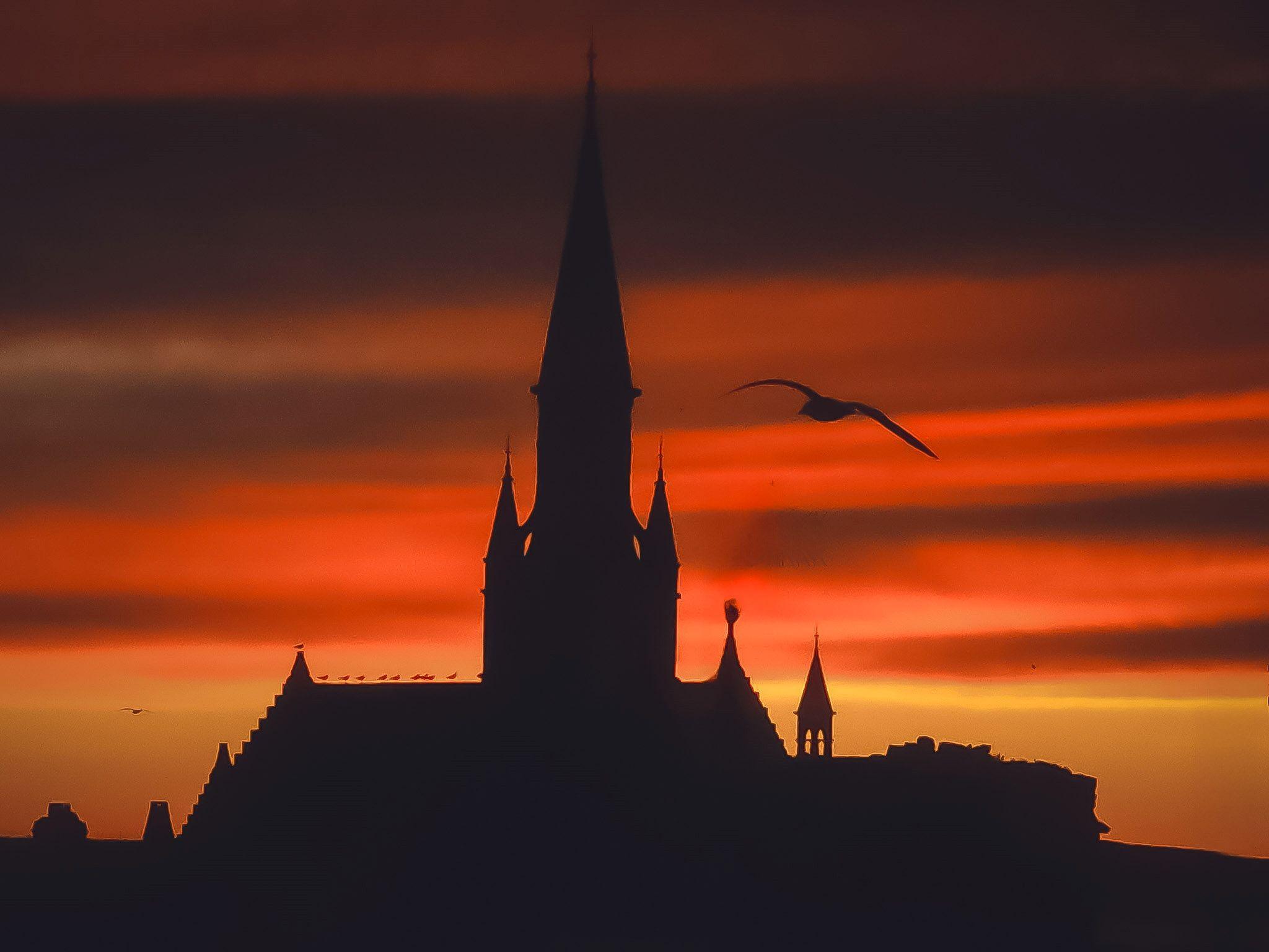 The silhouette of a church and flying bird in front of a sunset