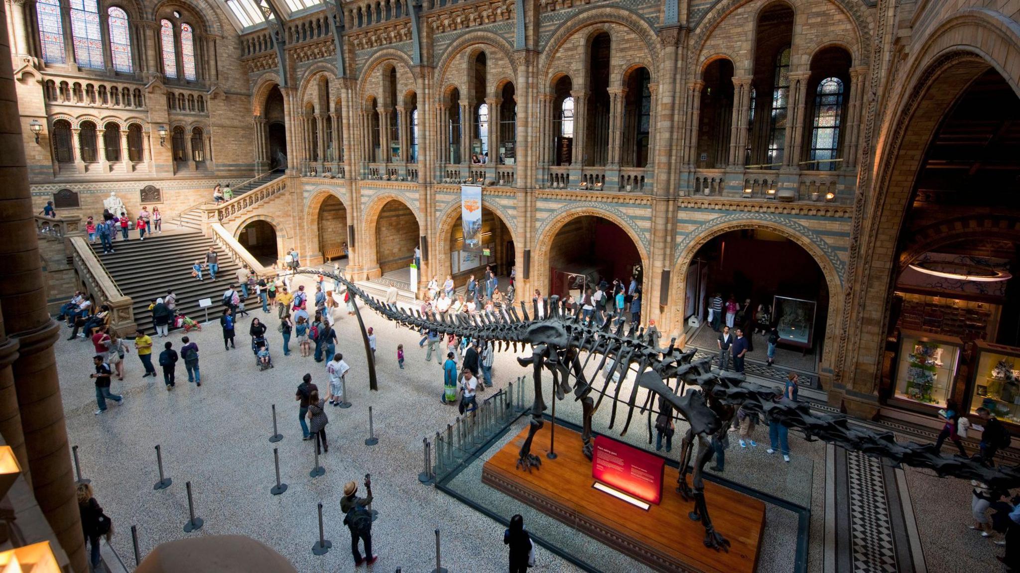 Interior of Natural History Museum main hall, including dinosaur bones model and tourists milling around.