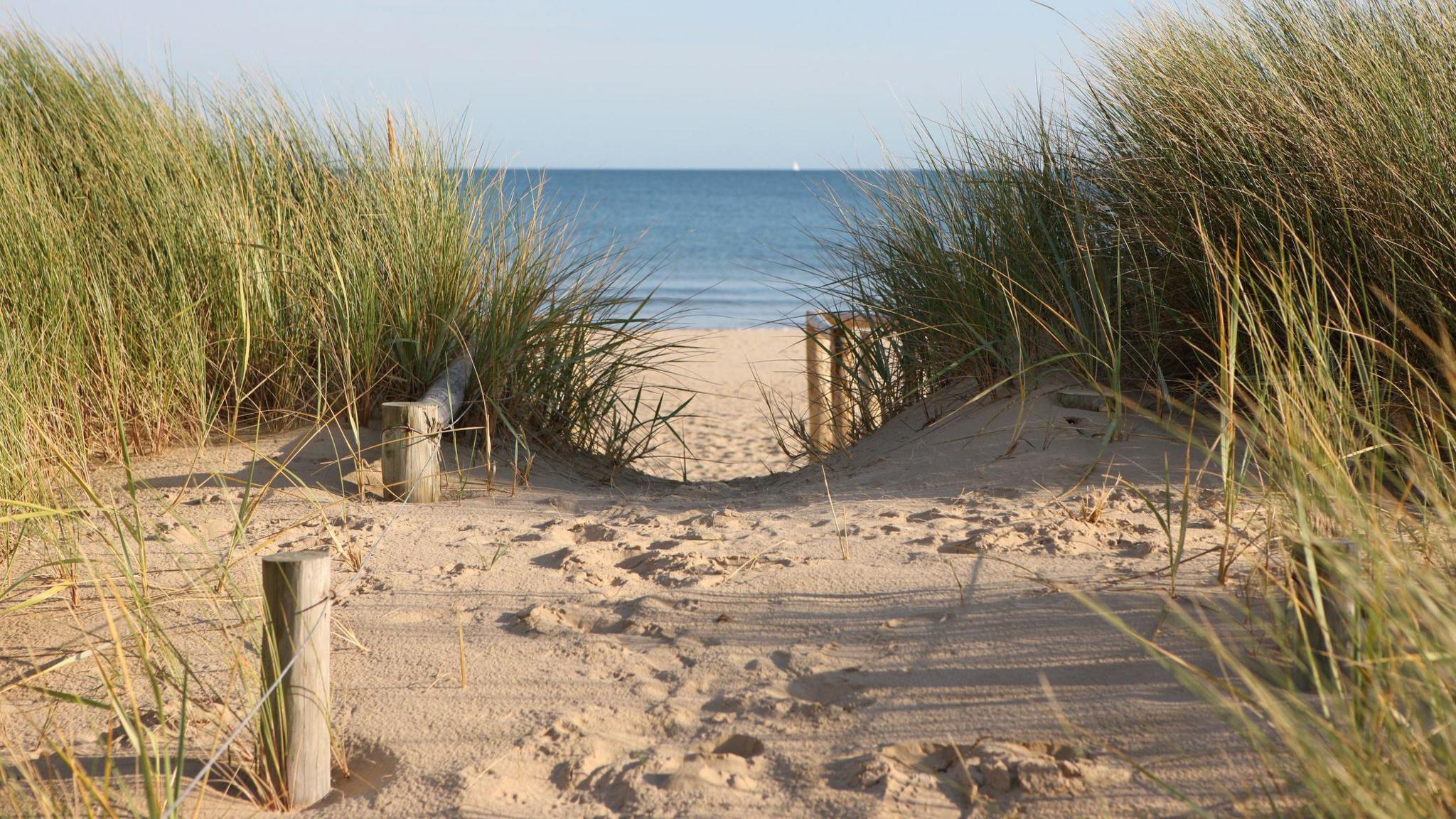 A sandy path leading to the sea. Long grasses are growing in the dunes. It looks like a bright, sunny day.