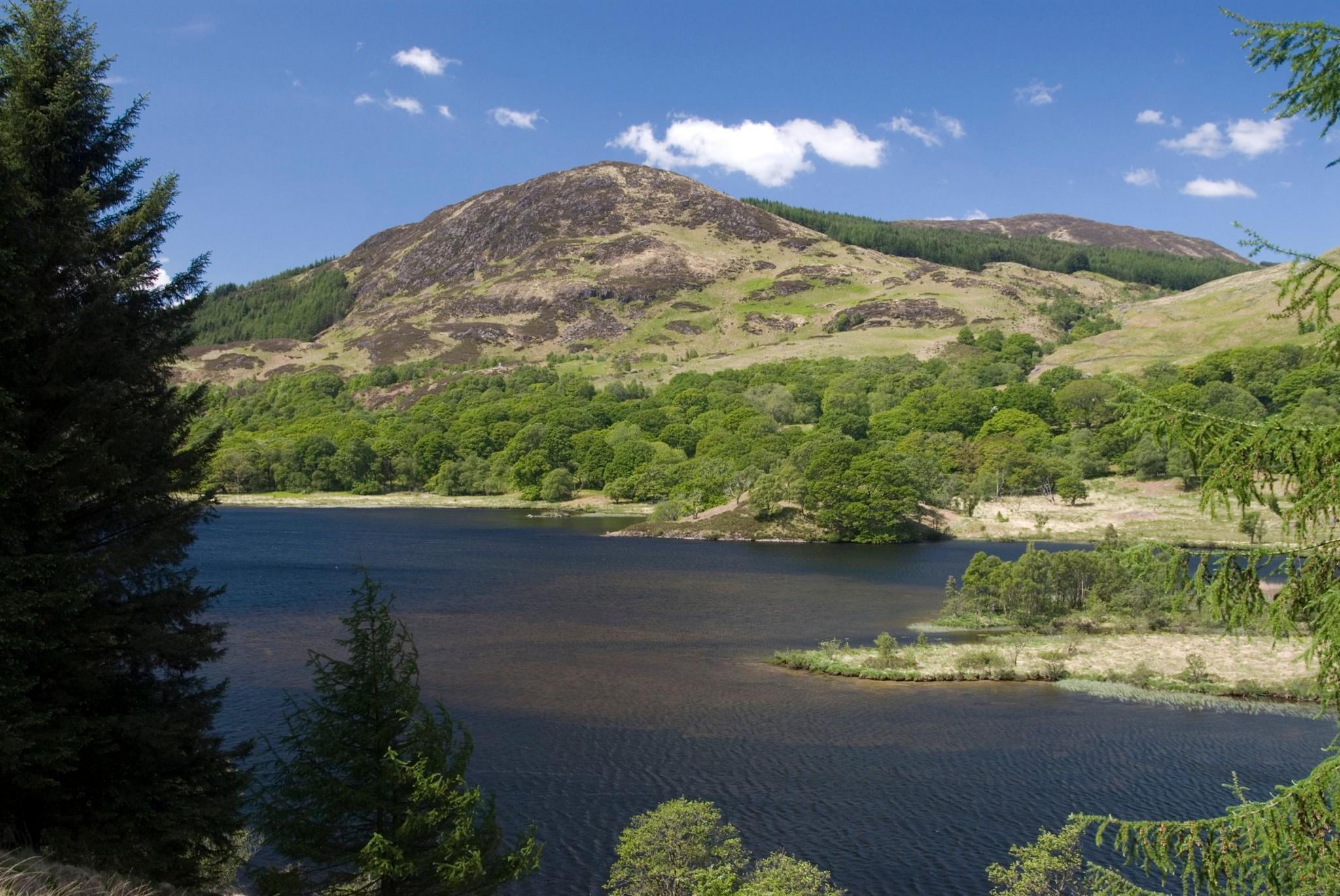 A hillside and loch in the Galloway forest