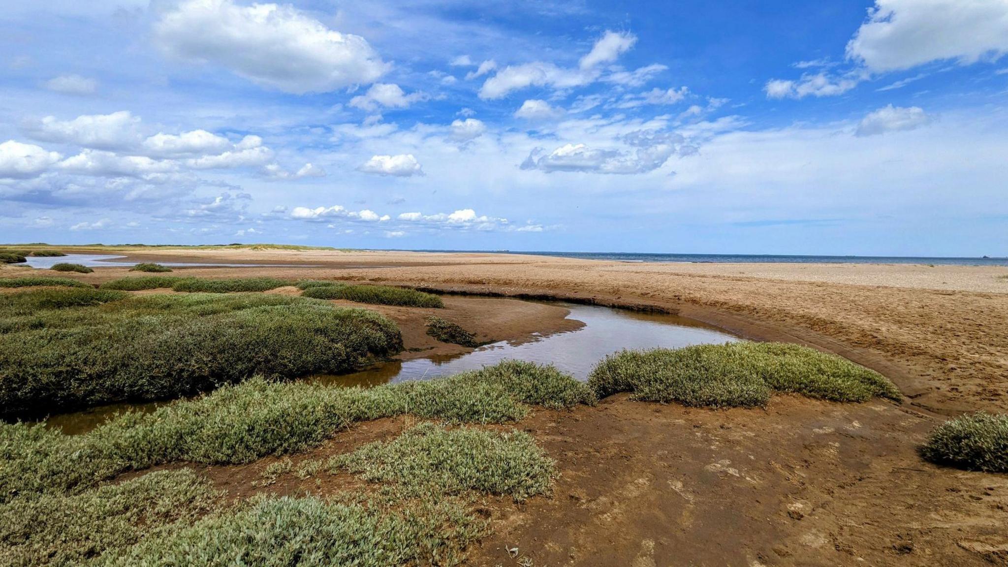 A grassy marsh in Cleethorpes bordering on the beach, blue skies can be seen overhead. 