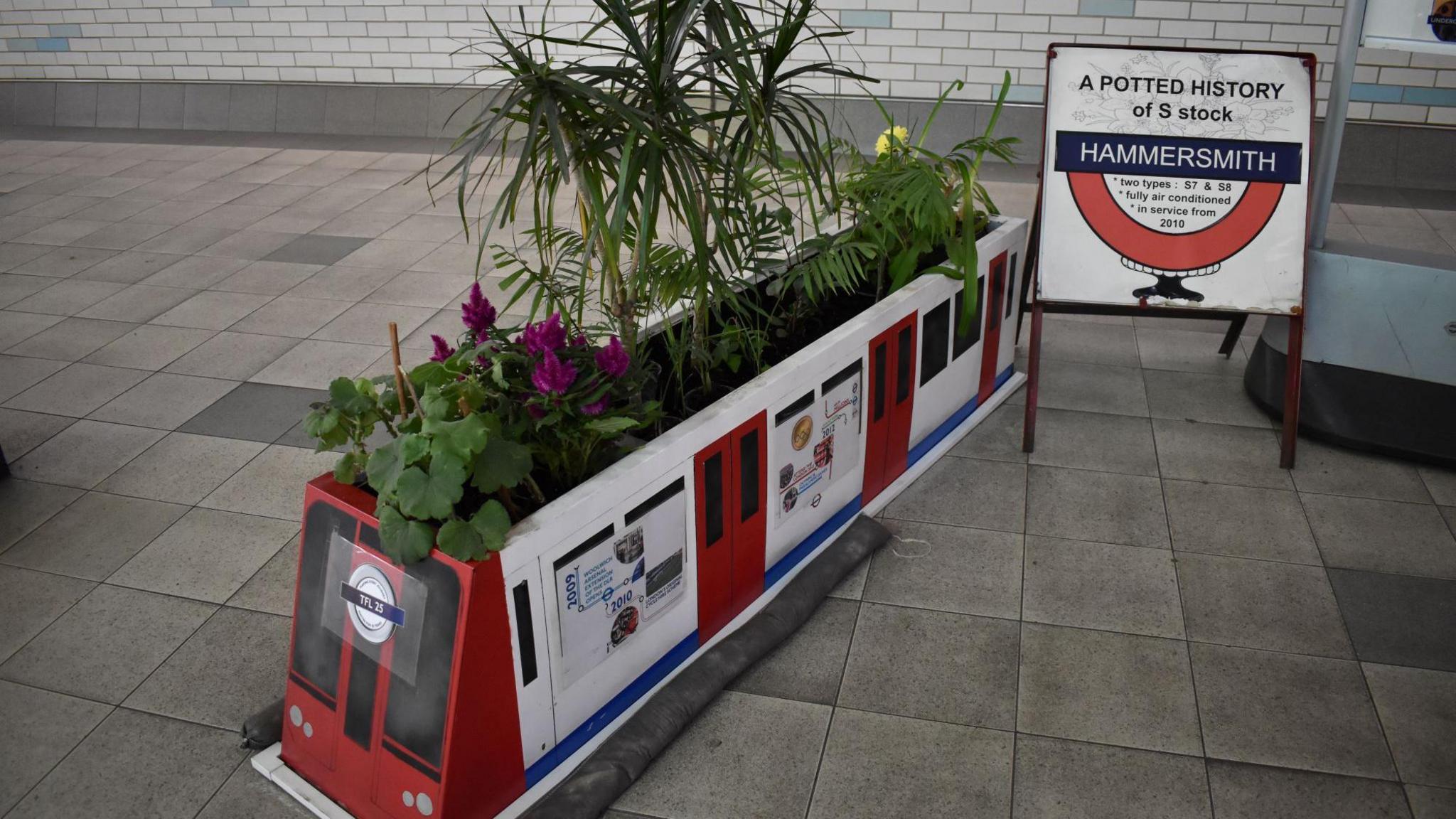 A long plant pot in the shape of a London Underground train. A number of plants, including a tall leafy plant and purple and yellow flowers, are planted in the pot. A sign to the right of the planter reads "A potted history of S Stock: Hammersmith". The pot is placed on the floor of a Tube station.