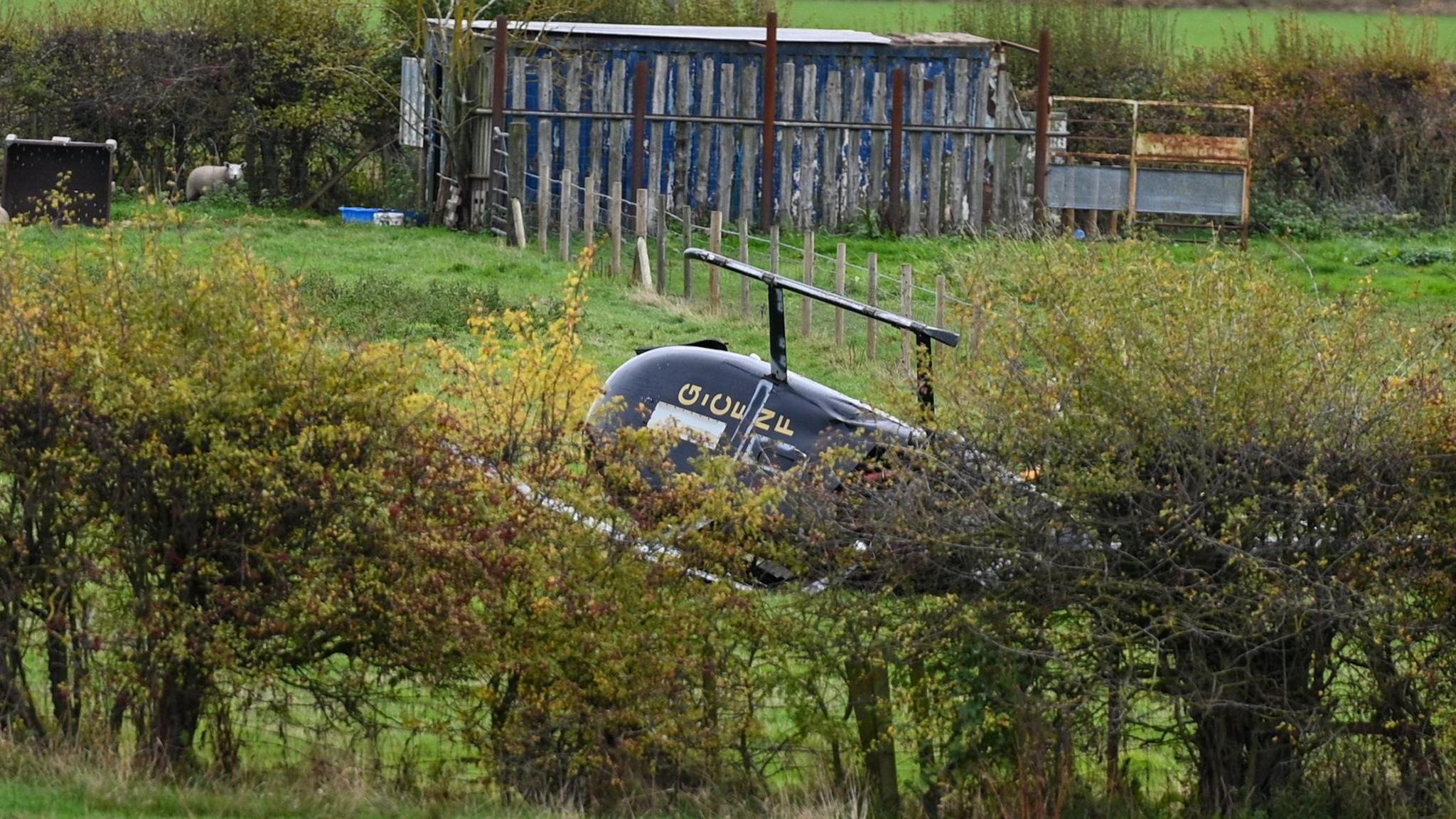 A black helicopter on its side in a field, partly concealed behind some bushes.