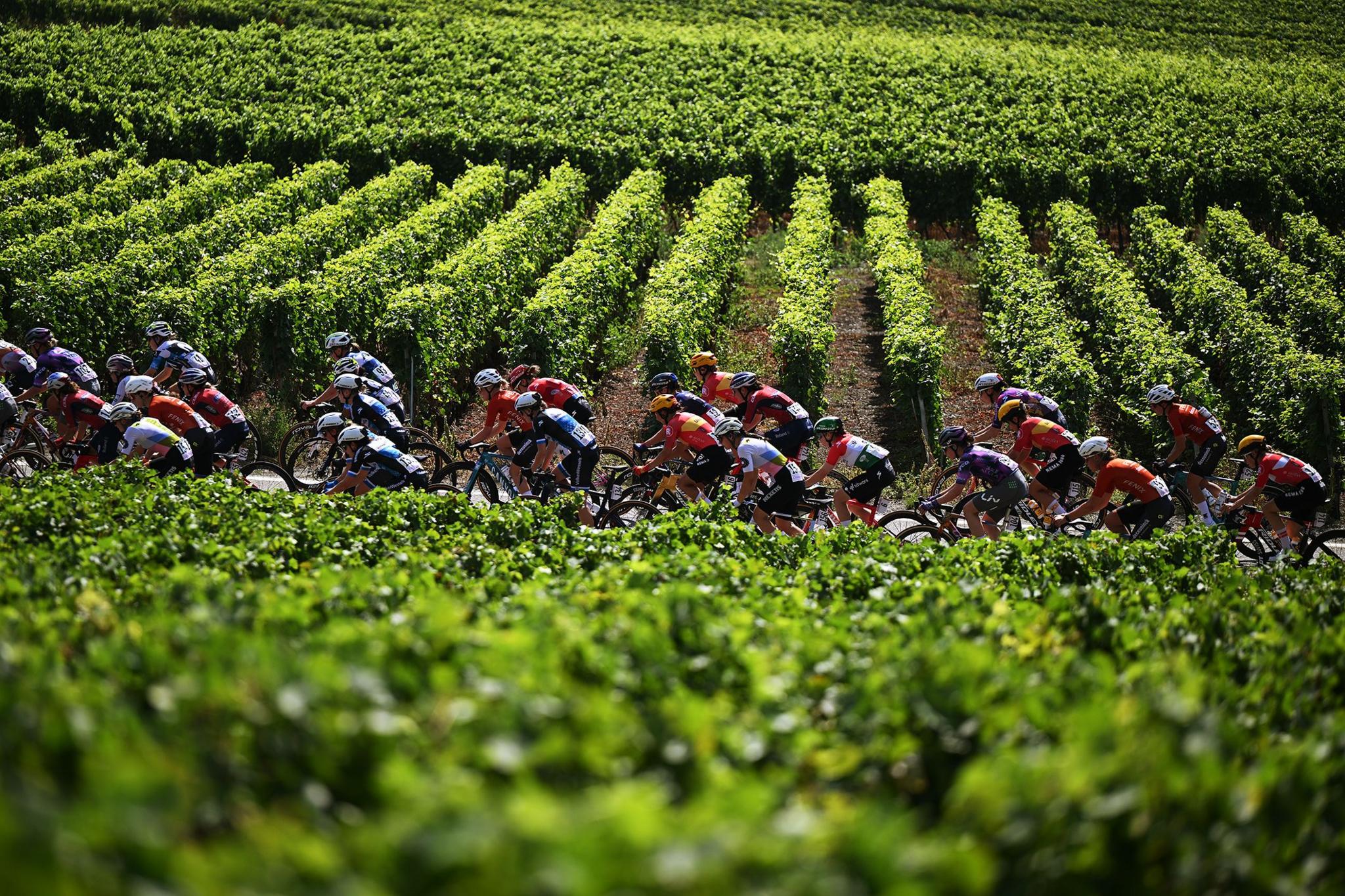The peloton passing through a vineyards landscape during the 4th Tour de Romandie Feminin 2025, Stage 2 a 123.2km stage from Conthey to La Tzoumaz in Switzerland. Photo by Dario Belingheri