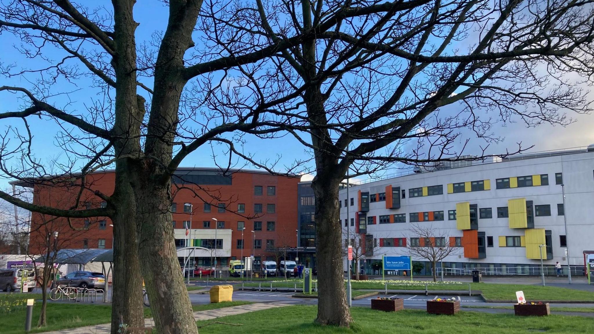 Trees in the grounds of Pinderfields Hospital